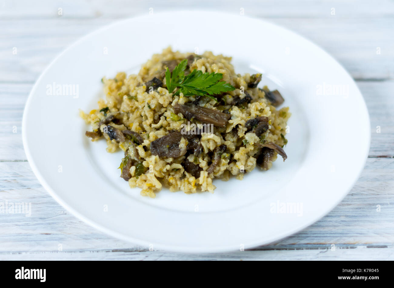 Italienische Teller Risotto. Garnieren Sie Teller mit Pilzen. Weiße Platte auf einem weißen Hintergrund. Stockfoto