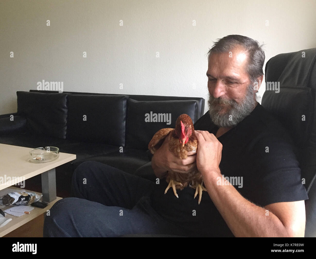 58 Jahre alt Ove Hansen sitzt in seinem Wohnzimmer mit einem Huhn auf seinem Schoß auf die Demenz Dorf Svendborg, Dänemark, 8. September 2017. Foto: Theresa Münch/dpa Stockfoto