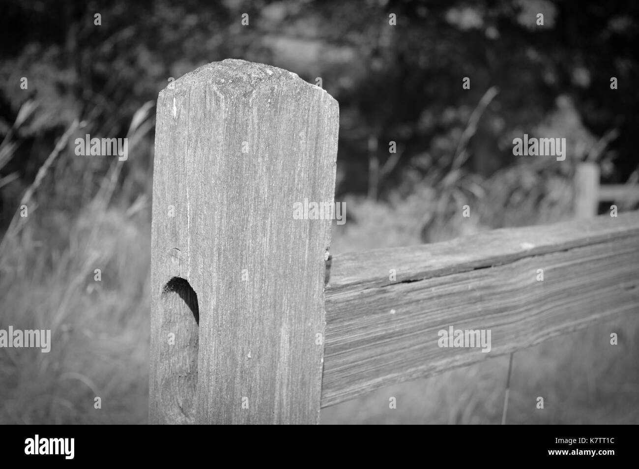 Zaun in der Prärie Landschaft Stockfoto