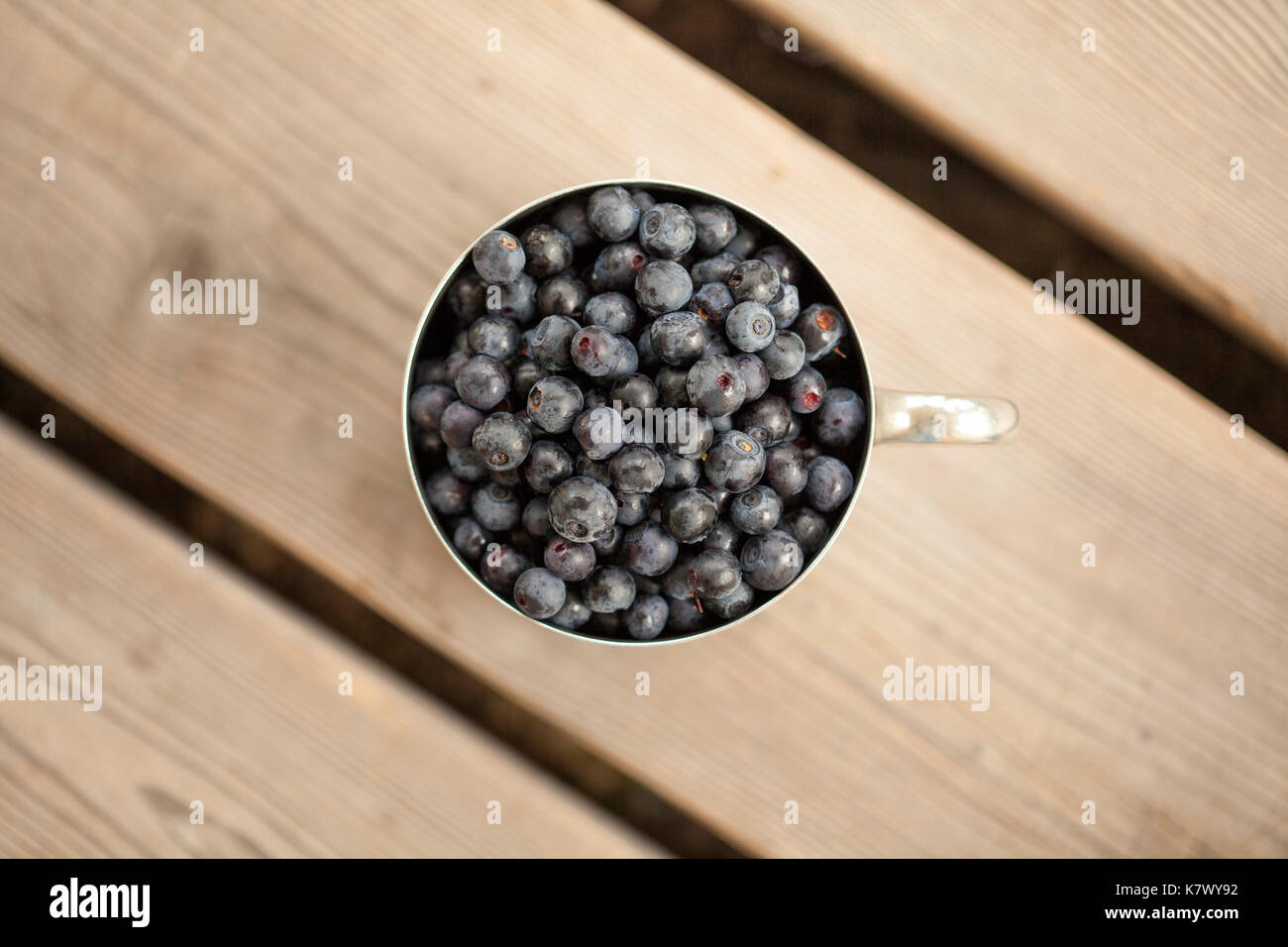 Alte verkratzte Becher Edelstahl gefüllt mit frisch gepflückten Wilde Heidelbeere, hölzernen Veranda Stockfoto