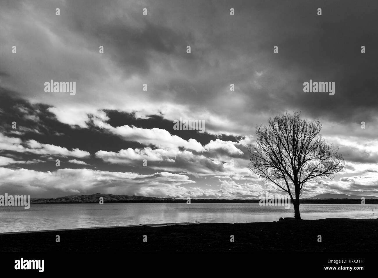 Baum am See ufer, mit bedecktem Himmel und einige Löcher in die Wolken Stockfoto