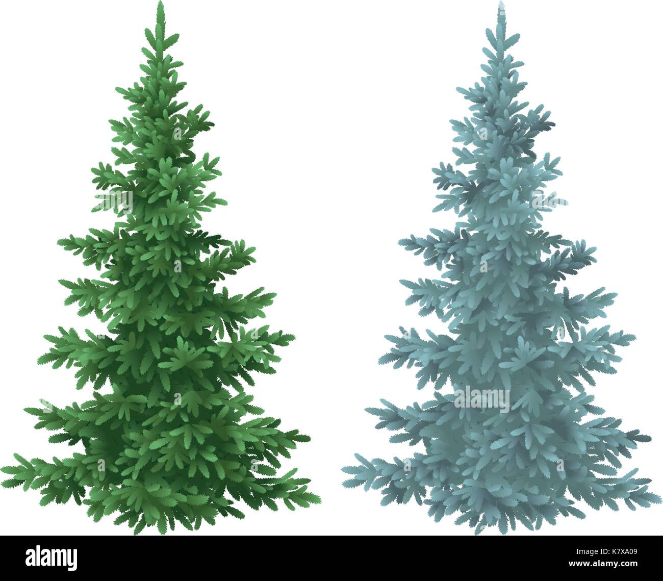 Weihnachten grün und blau Tannen Fichten Stock Vektor