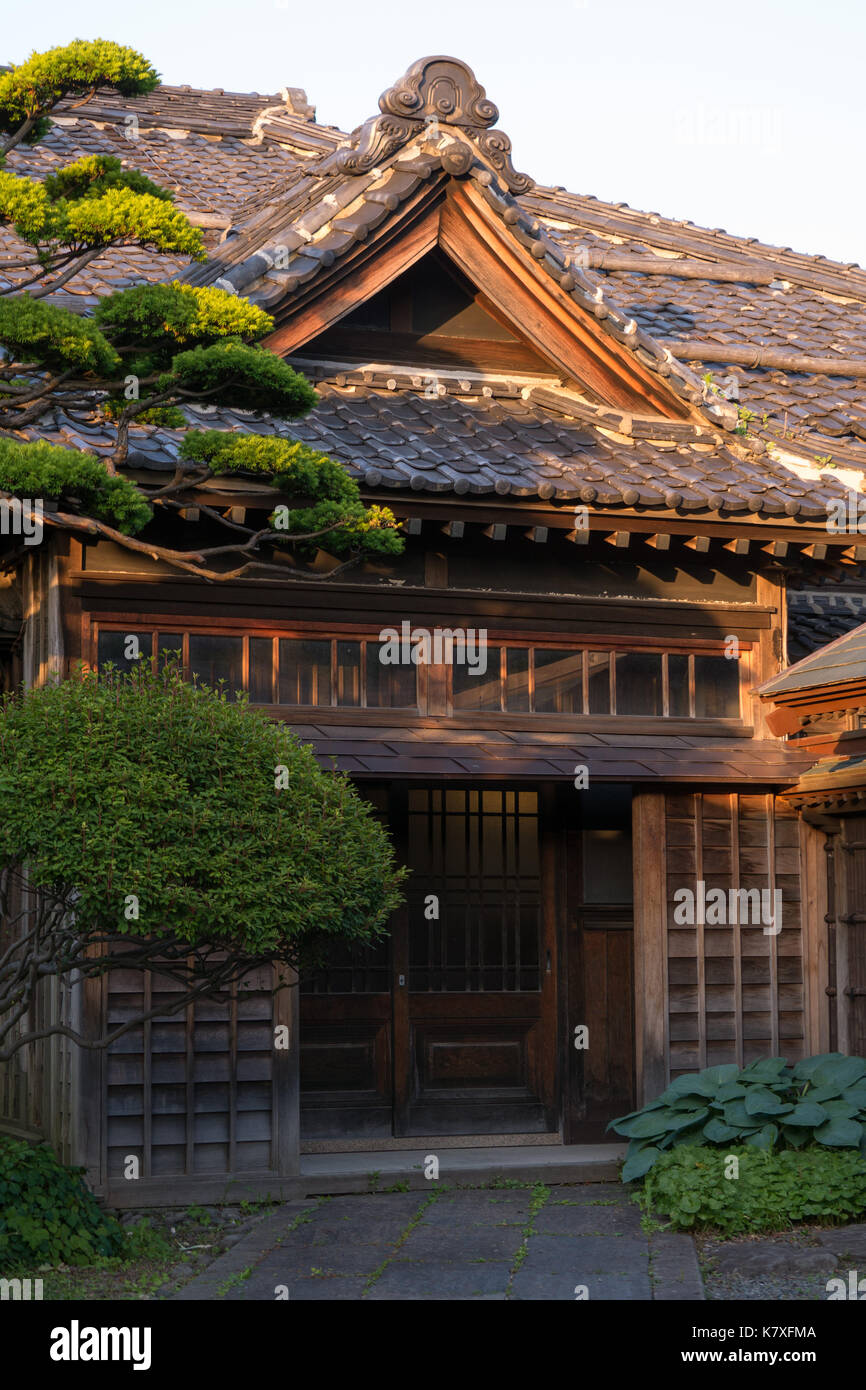 Sehr alte hölzerne, Japanisch home in Otaru, Japan. Die gepflegten immergrünen Bäume im Innenhof im warmen Licht des späten Nachmittags Licht. Stockfoto