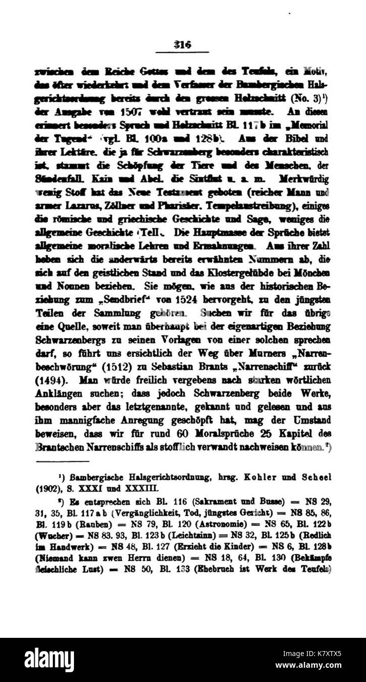 Johann Freiherr zu Schwarzenberg (Scheel) 316 Stockfoto