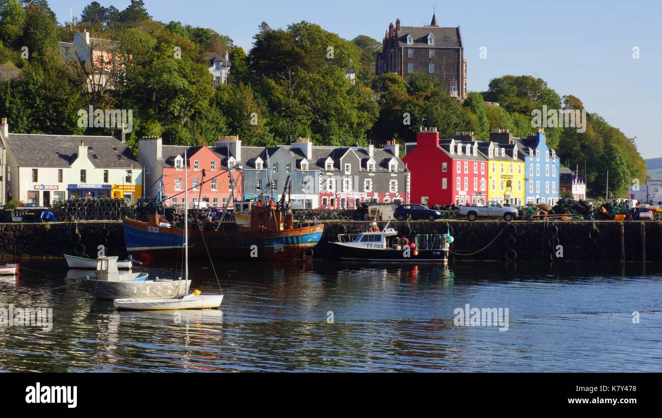 Schottland, Oban, Mull, Tobermory, Fähre, Cal Mac, Clan Maclean, Farbige Häuser, Hafen, Malerisch, St Andrews Cross, Gastronomie, Meeresessen. Stockfoto