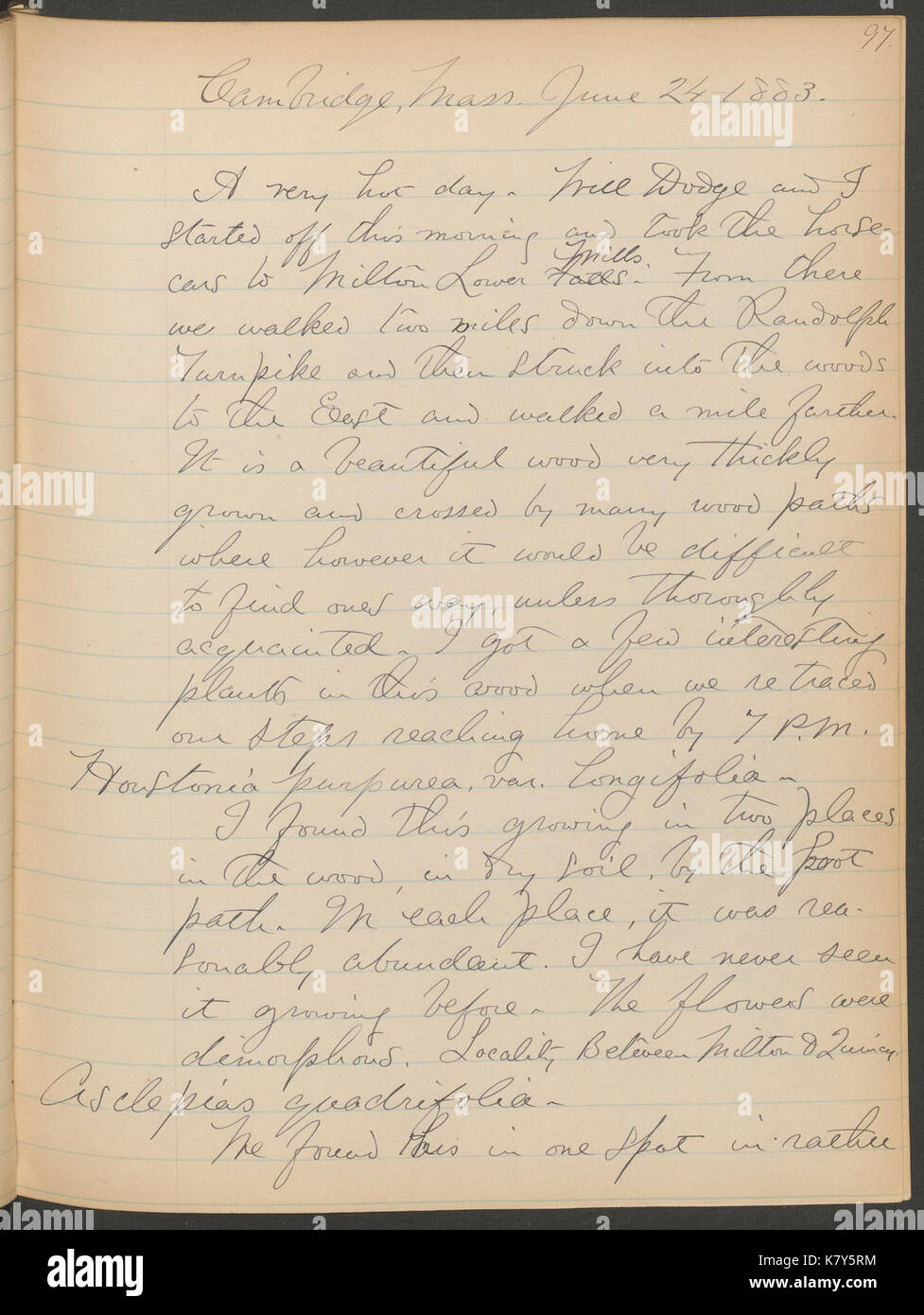 Journal, 1882 1885 (Seite 97) BHL 40341450 Stockfoto