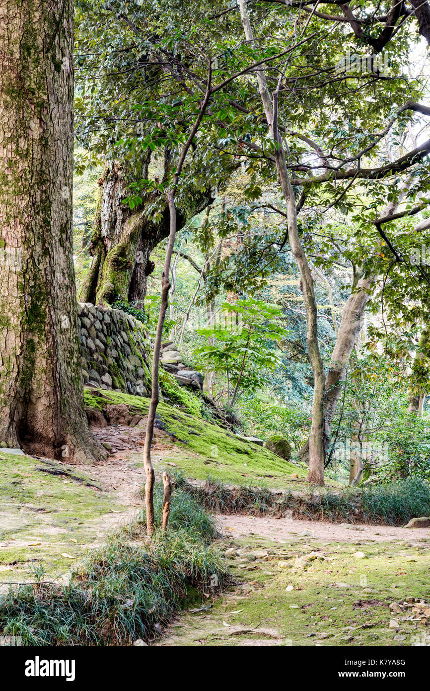 Kanazawa, Kenrokuen Garten, einer der Top drei Gärten in Japan. Weg nach kleinen Kamm durch Bäume. Stockfoto