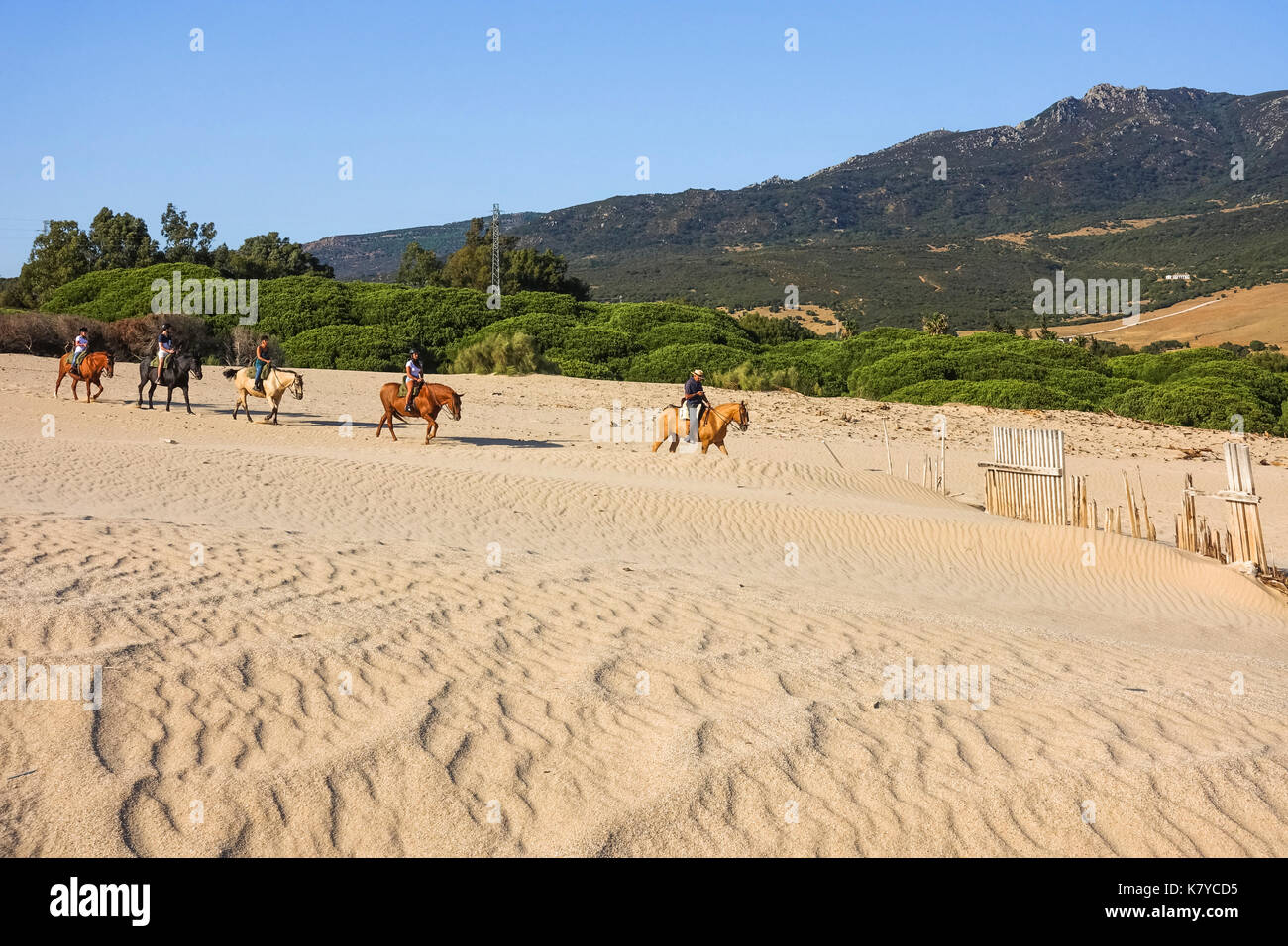 Reiten in den Dünen bei Punta Paloma, Valdevaqueros, der Strand, Provinz Cadiz, Costa de la Luz, Andalusien, Spanien Stockfoto