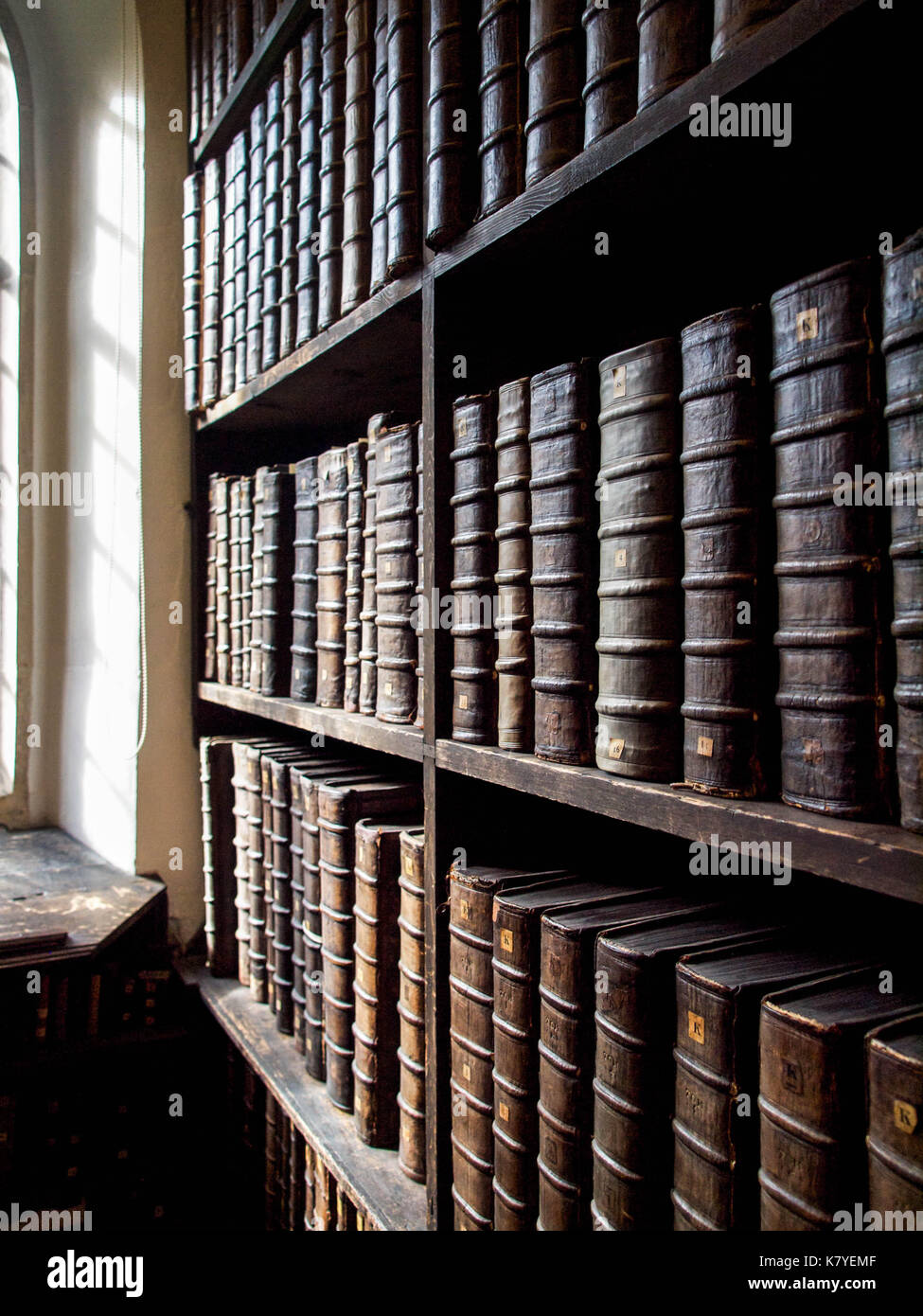 Bücher in Lederbindung in der Alten Bibliothek Stockfoto