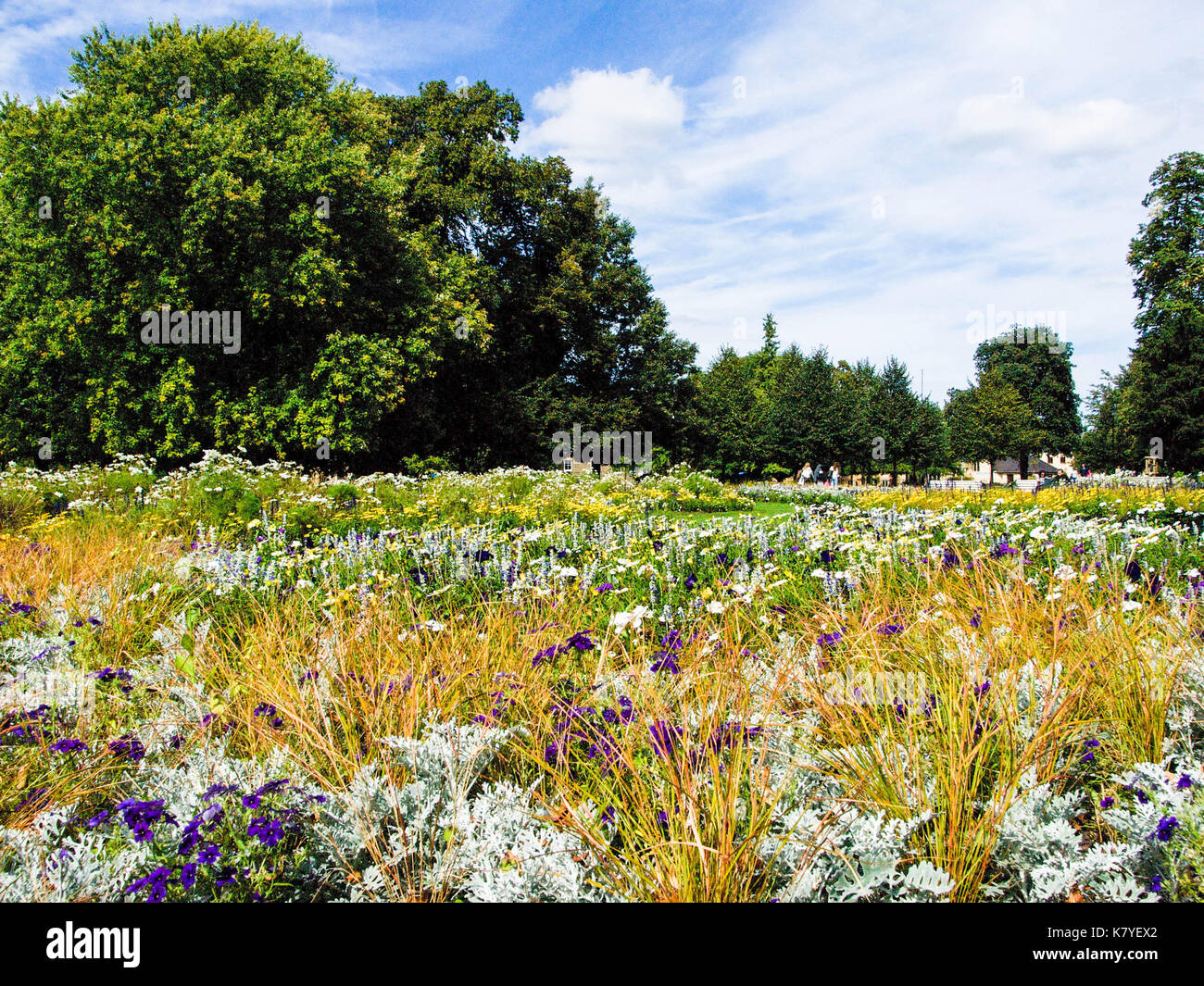Expansive Blumenbeete im Park mit Hintergrund Bäume unter Sommer Sky Stockfoto