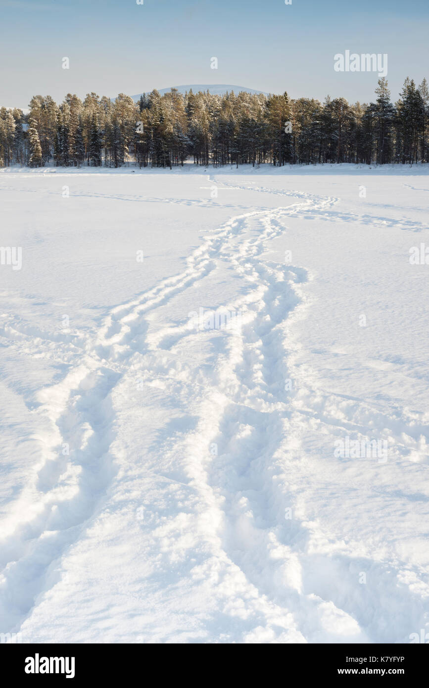 Winterwald, Finnland. Stockfoto