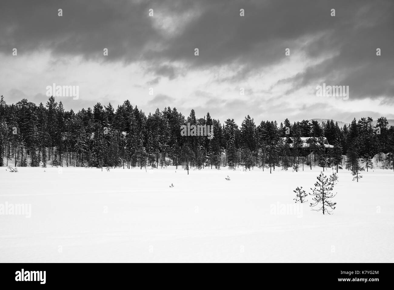 Winterwald, Finnland. Stockfoto