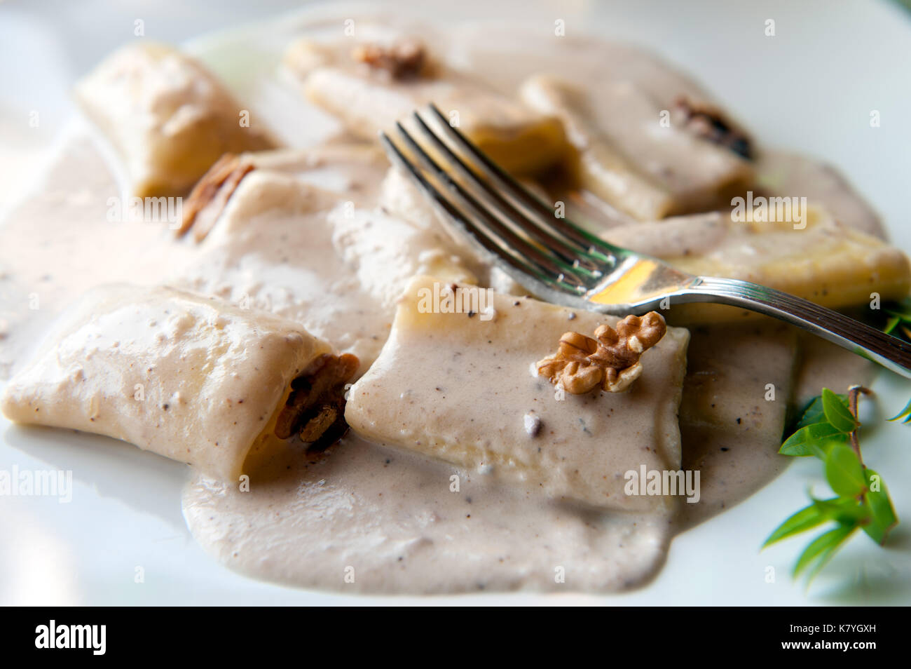 Rigatoni mit Provolone Sauce und Walnüssen in Süditalien serviert Stockfoto