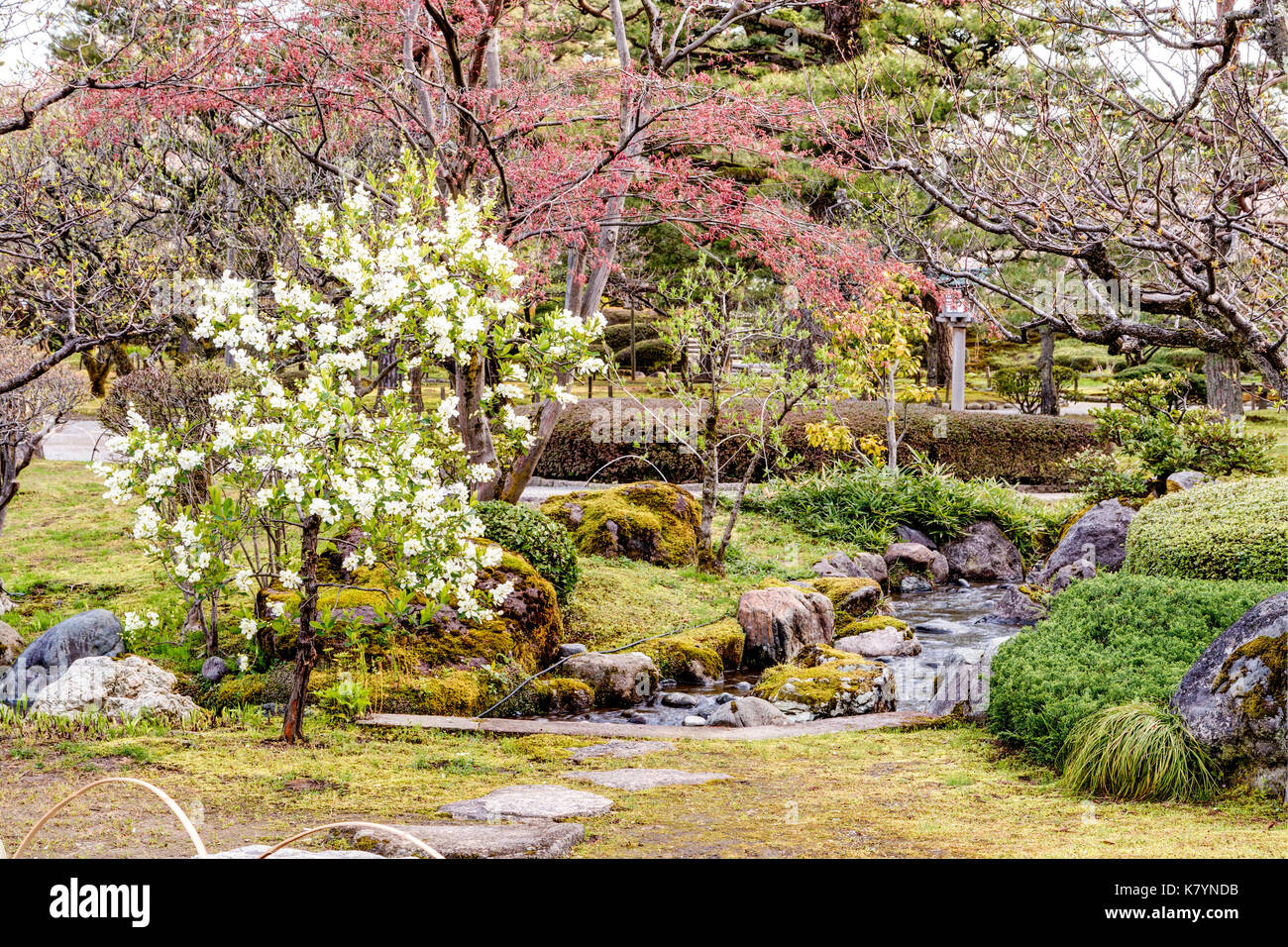 Japan, Kanazawa, Kenrokuen Garten, einer der Top drei Gärten in Japan. Verschiedene Bäume, Moos und felsigen Stream. Frühling. Stockfoto