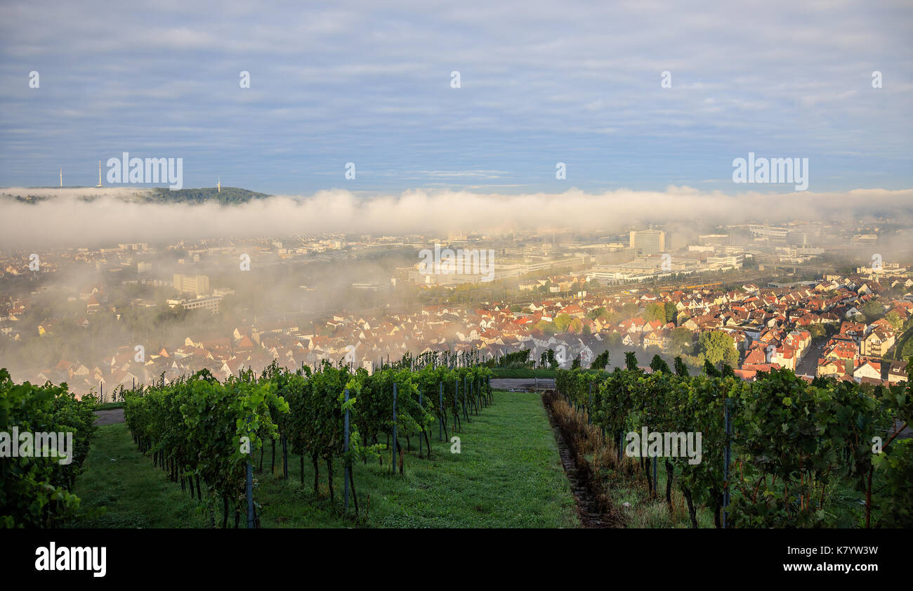 Cannstatter Volksfest/Cannstatter Wasen in Stuttgart Stockfoto