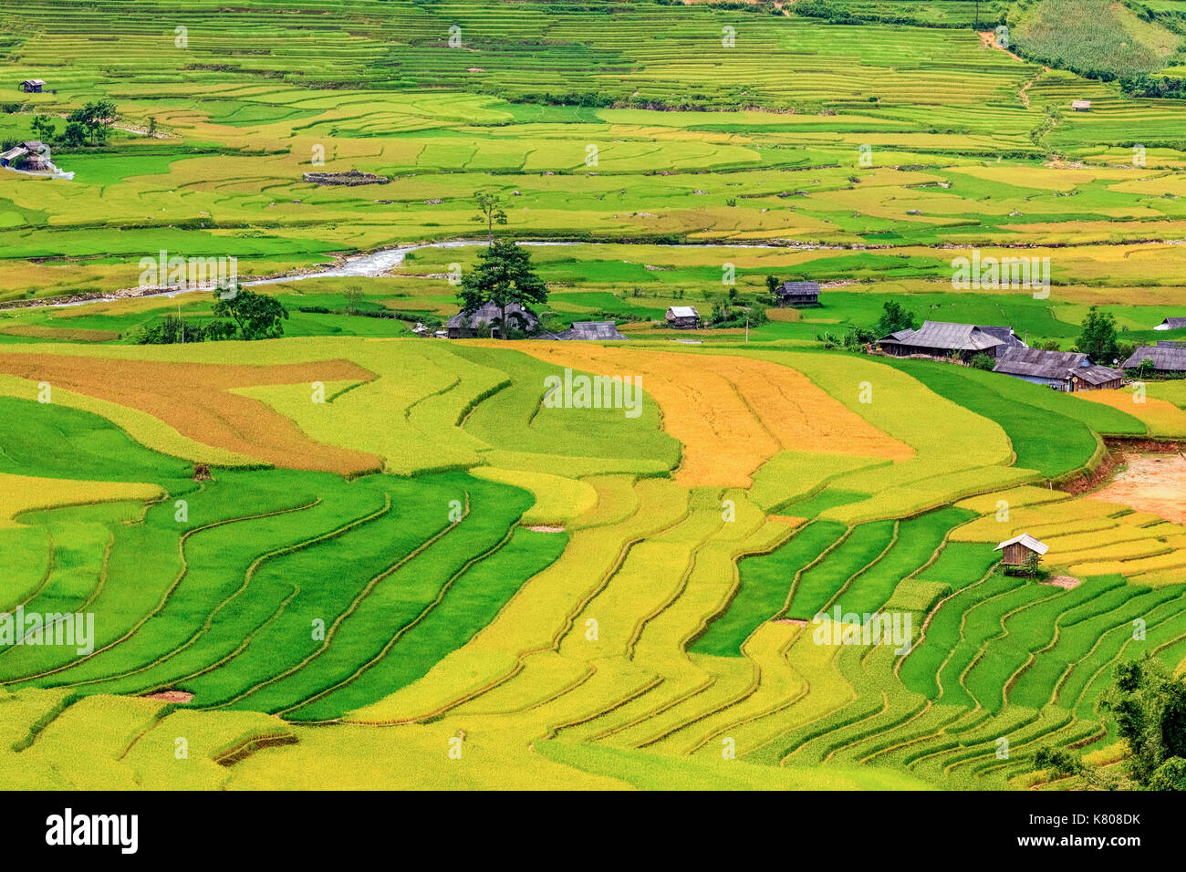 Reisfeld an mu cang Chai, Vietnam. in der Nähe von Sapa, Lao Cai Stockfoto