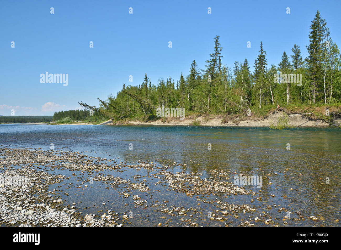 Der Fluss der polaren Ural. Sommer Wasser Landschaft im Norden Russlands. Stockfoto