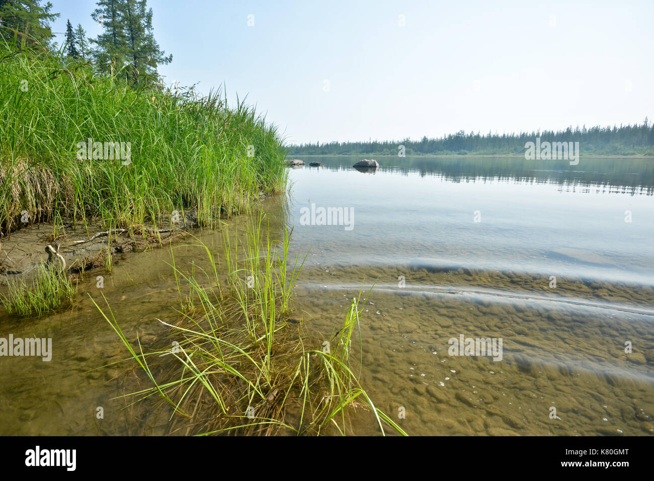 Der Fluss der polaren Ural. Sommer Wasser Landschaft im Norden Russlands. Stockfoto