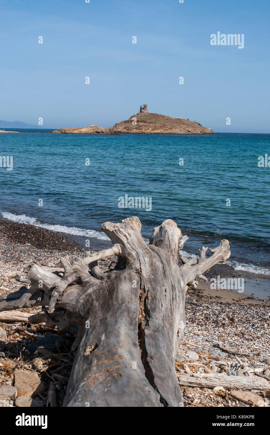 Korsika: Baumstamm auf die Plage des Strand Iles, das Naturschutzgebiet Les Iles Finocchiarola, mit den 3 kleinen Inseln ein Terra, Mezzana, Finocchiarola Stockfoto