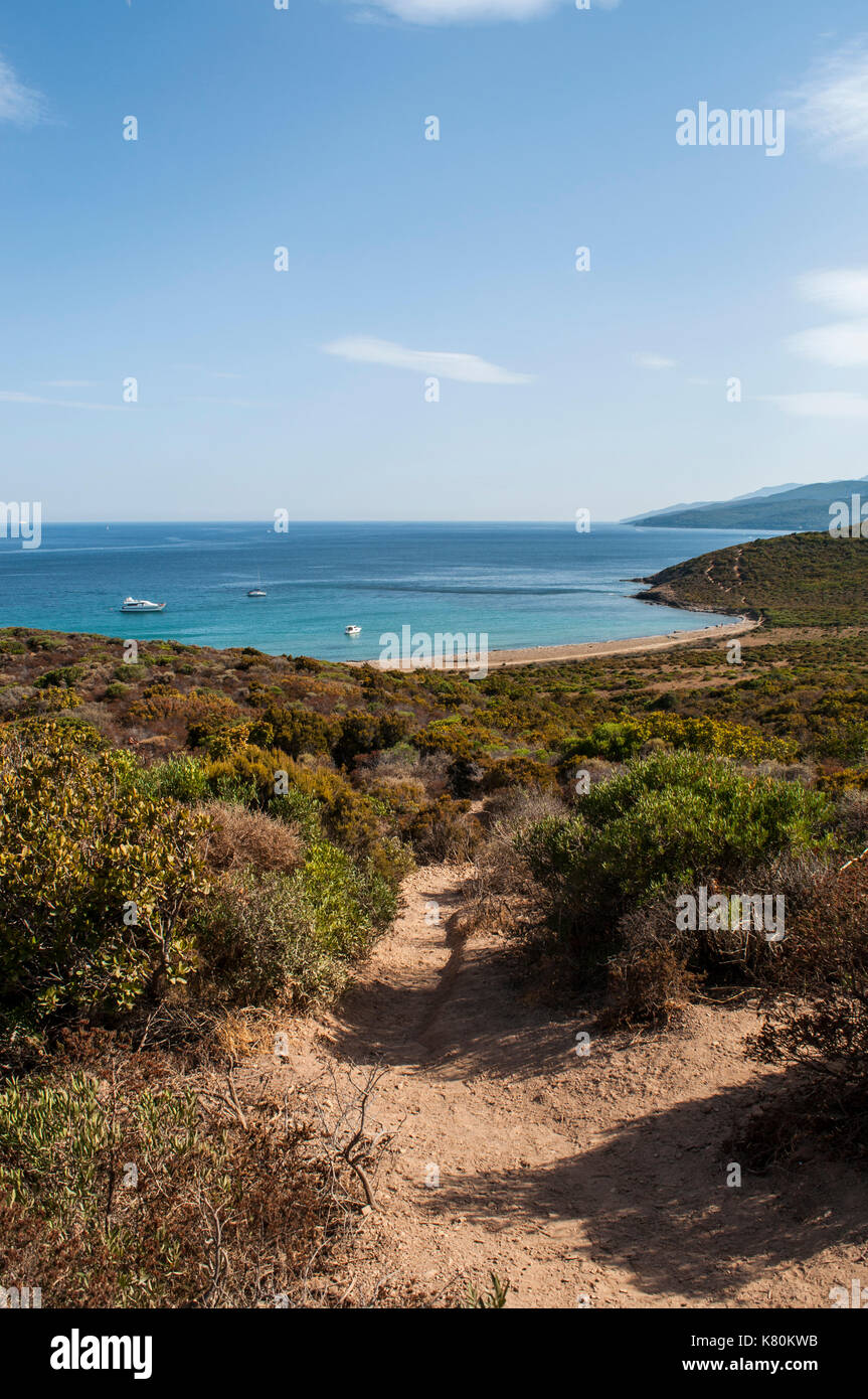 Korsika: Die mediterrane Macchia auf dem Sentier des Douaniers und Anzeigen von Plage des Iles, der Strand der Inseln der Natur Finocchiarola Stockfoto