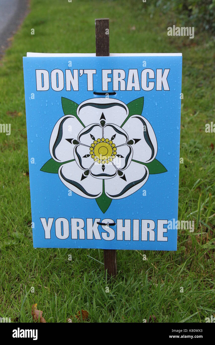 Anti-fracking Schilder am Straßenrand in North Yorkshire, England, UK in Bezug auf Kirby Misperton Proteste und Widerstand gegen Fracking in North Yorkshire. Die Proteste weiter in 2018 und unterliegen der Polizeiarbeit und werden regelmäßig in den Nachrichten gekennzeichnet wie die Opposition zu den gesamten fracking Prozess innerhalb der Gemeinschaft und im lokalen Umfeld bleibt. Eine Firma namens Dritten Energie beteiligt sind mit der Arbeit auf dem Gebiet der Lizenzierung Prozess innerhalb des Vereinigten Königreichs und Gerichtsurteile verbunden sind auch eine Funktion. Aktivisten sind häufig an der North Yorkshire Ort und Zeichen entfernt sind sichtbar. Stockfoto