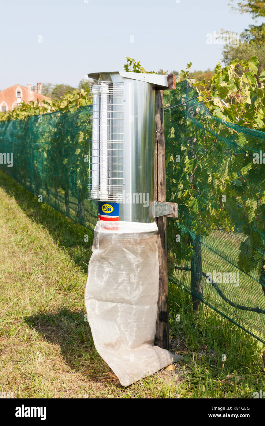 Mo-El UV-A aktinischen Lampe Turbine bug Zapper oder Insektenvernichter in einem Weingut auf einem Weingut mit Reben von Netze gegen Insektenfraß an den Trauben geschützt Stockfoto