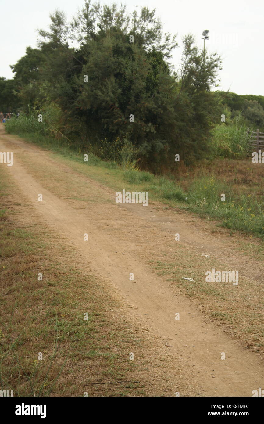 Schmutz der Straße, die von Scarlino Puntone, Stockfoto
