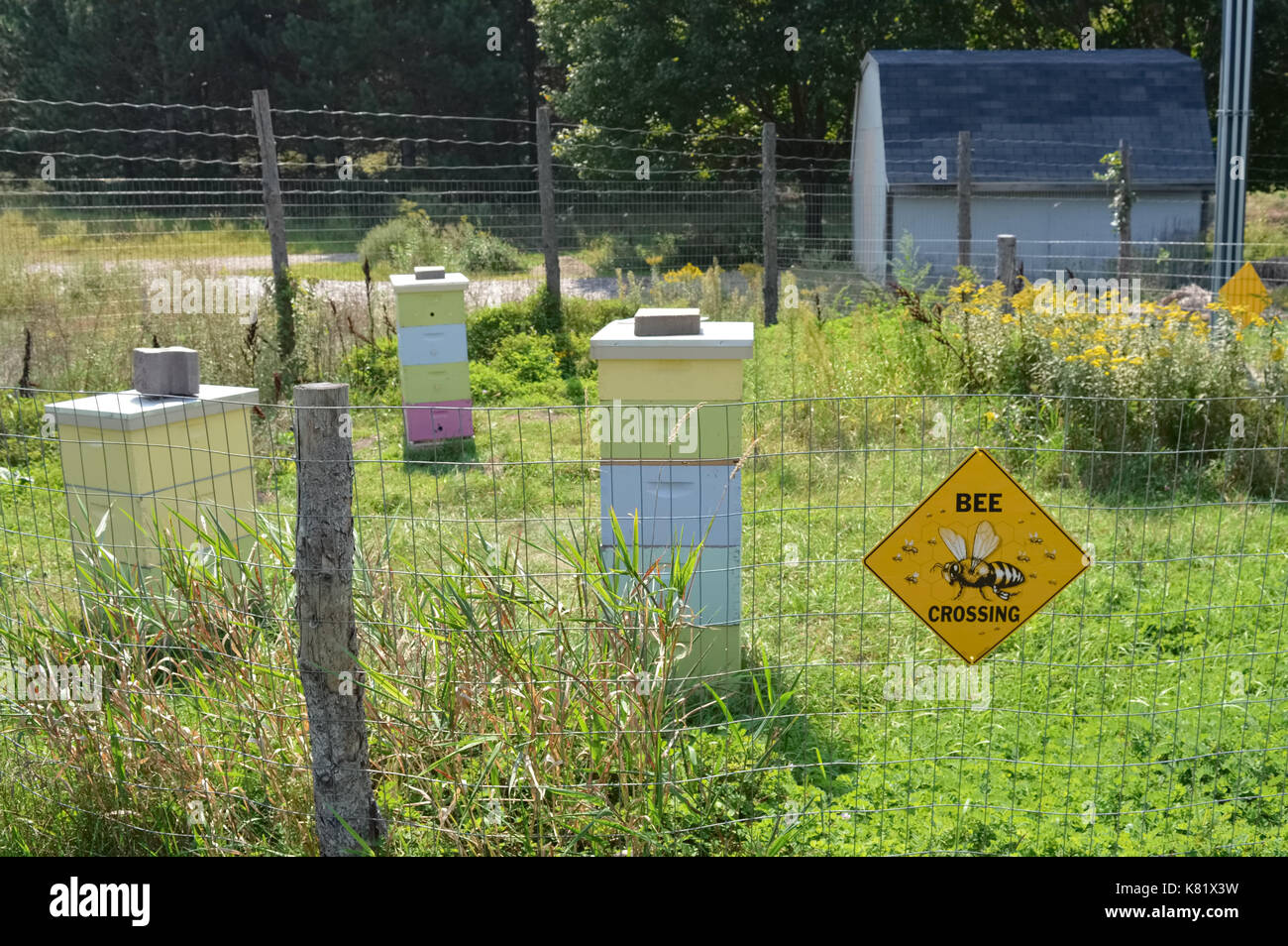 Bienenzucht Bereich Stockfoto