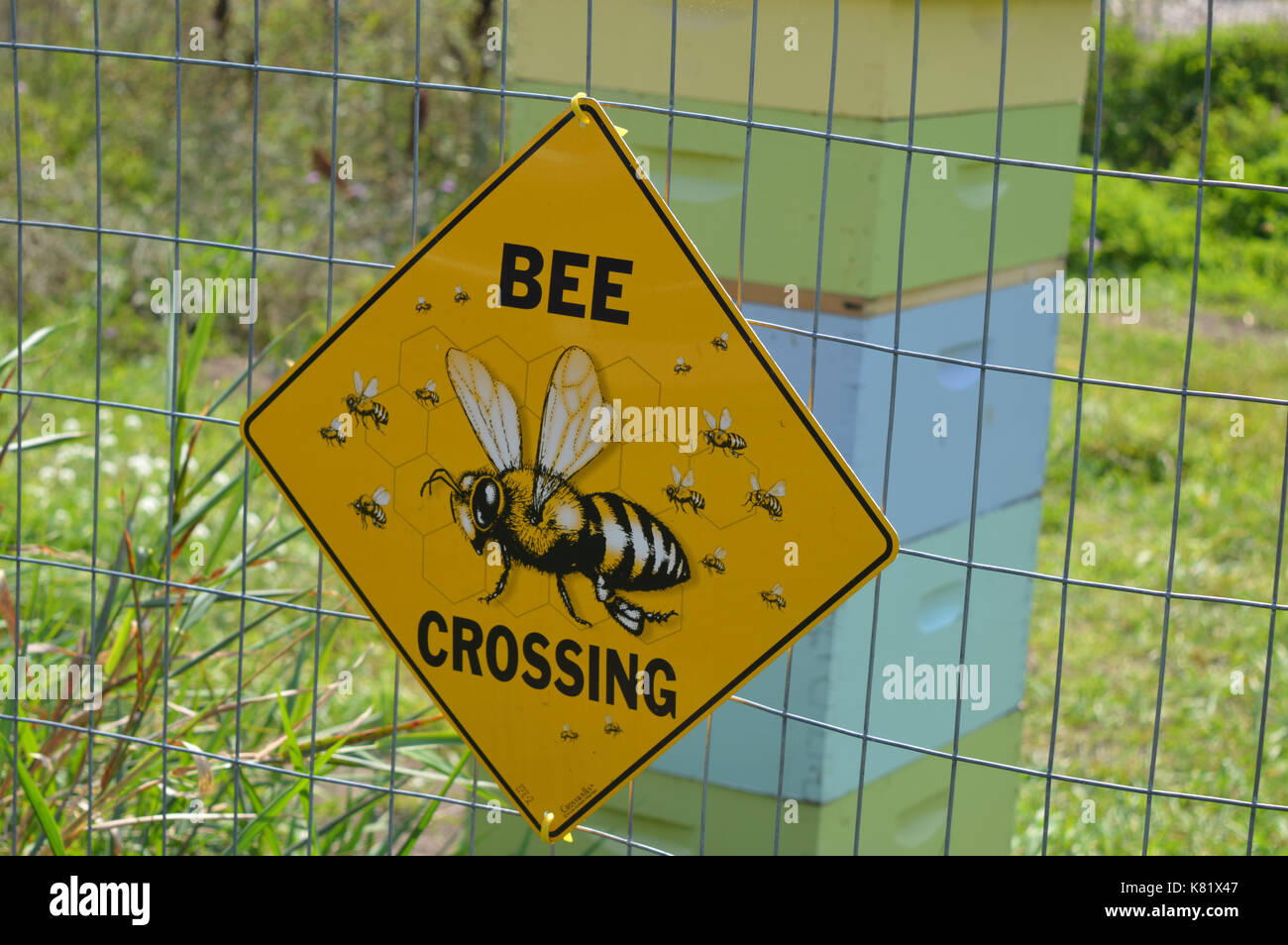 Bienenzucht Bereich Stockfoto