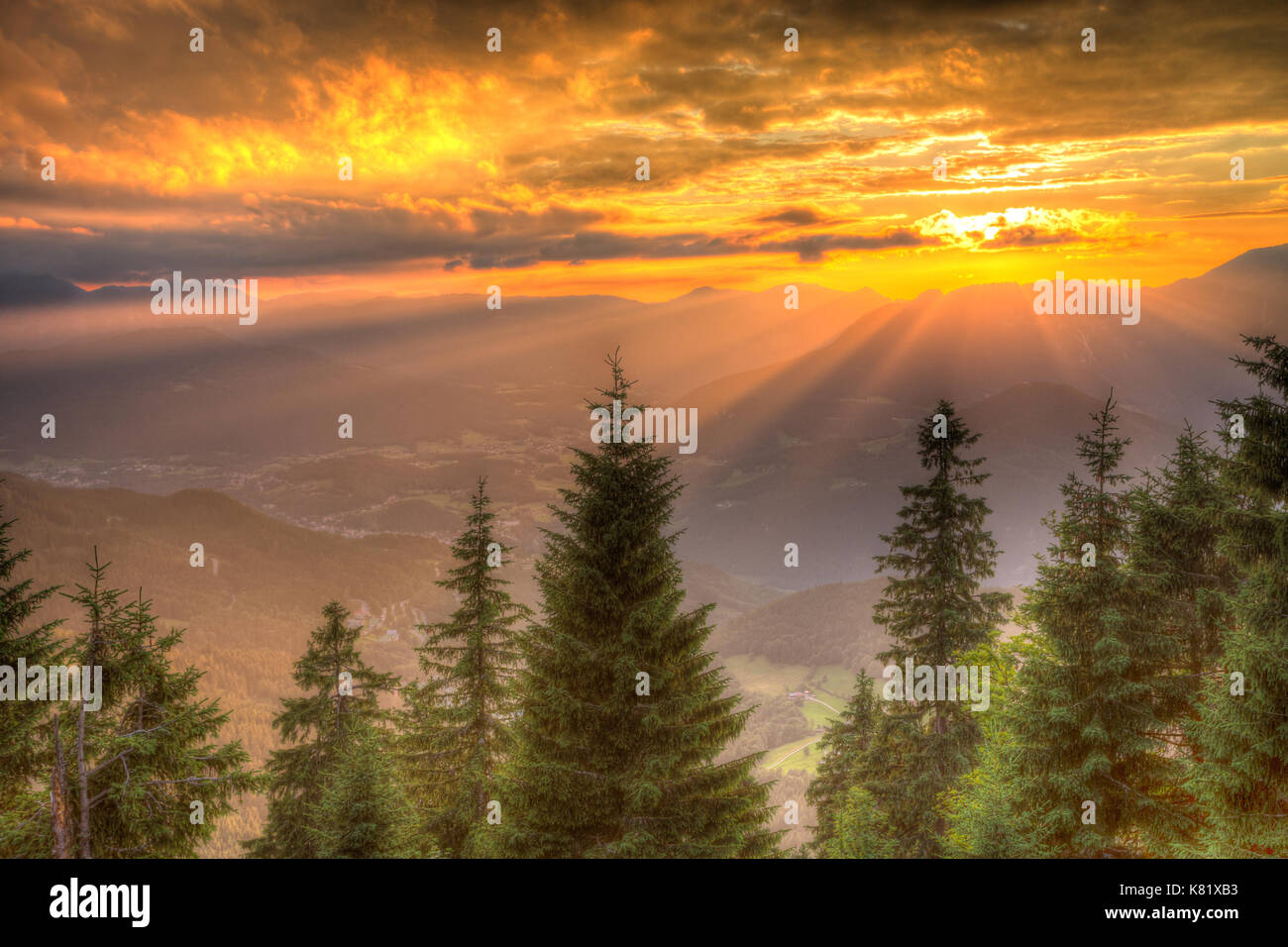 Alpenpanorama im Sonnenuntergang, vor Nadelwald, Berchtesgadener Land, Deutschland Stockfoto