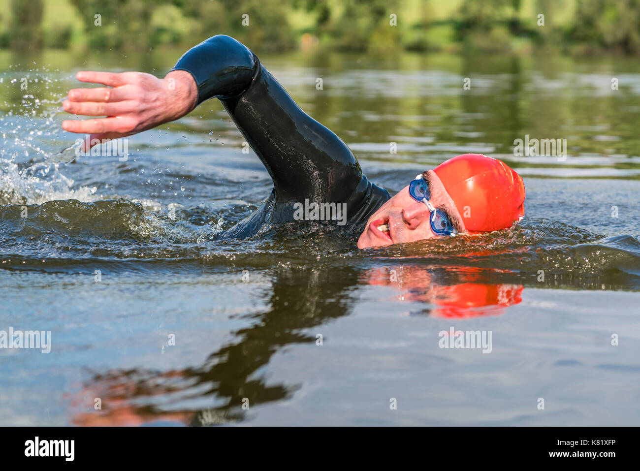 Mann, 39 Jahre, im Neoprenanzug, im See schwimmen, Aichstruter Stausee, Baden-Württemberg, Deutschland Stockfoto