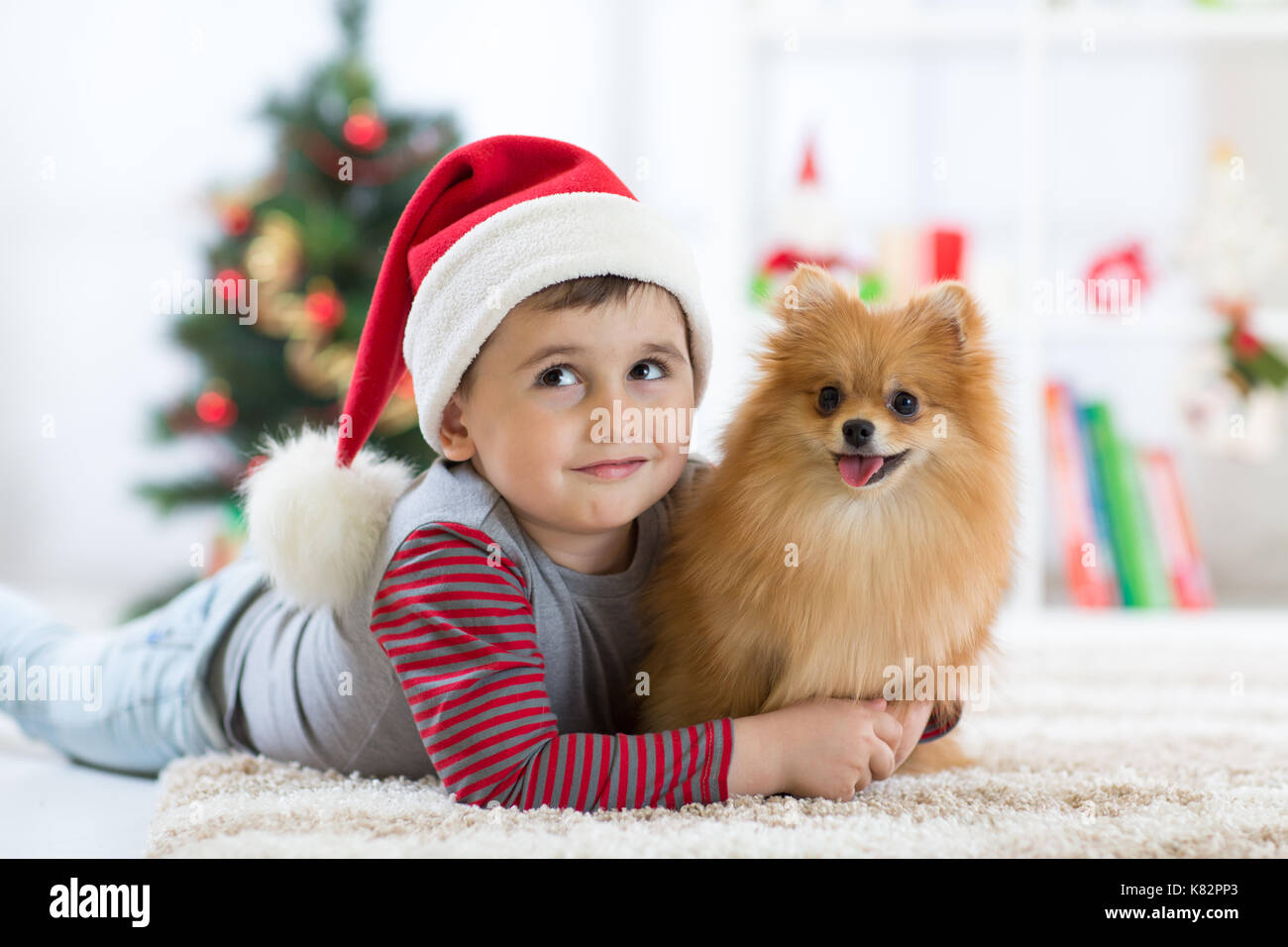 Kleiner Junge und Hund am Weihnachtsbaum liegen Stockfoto