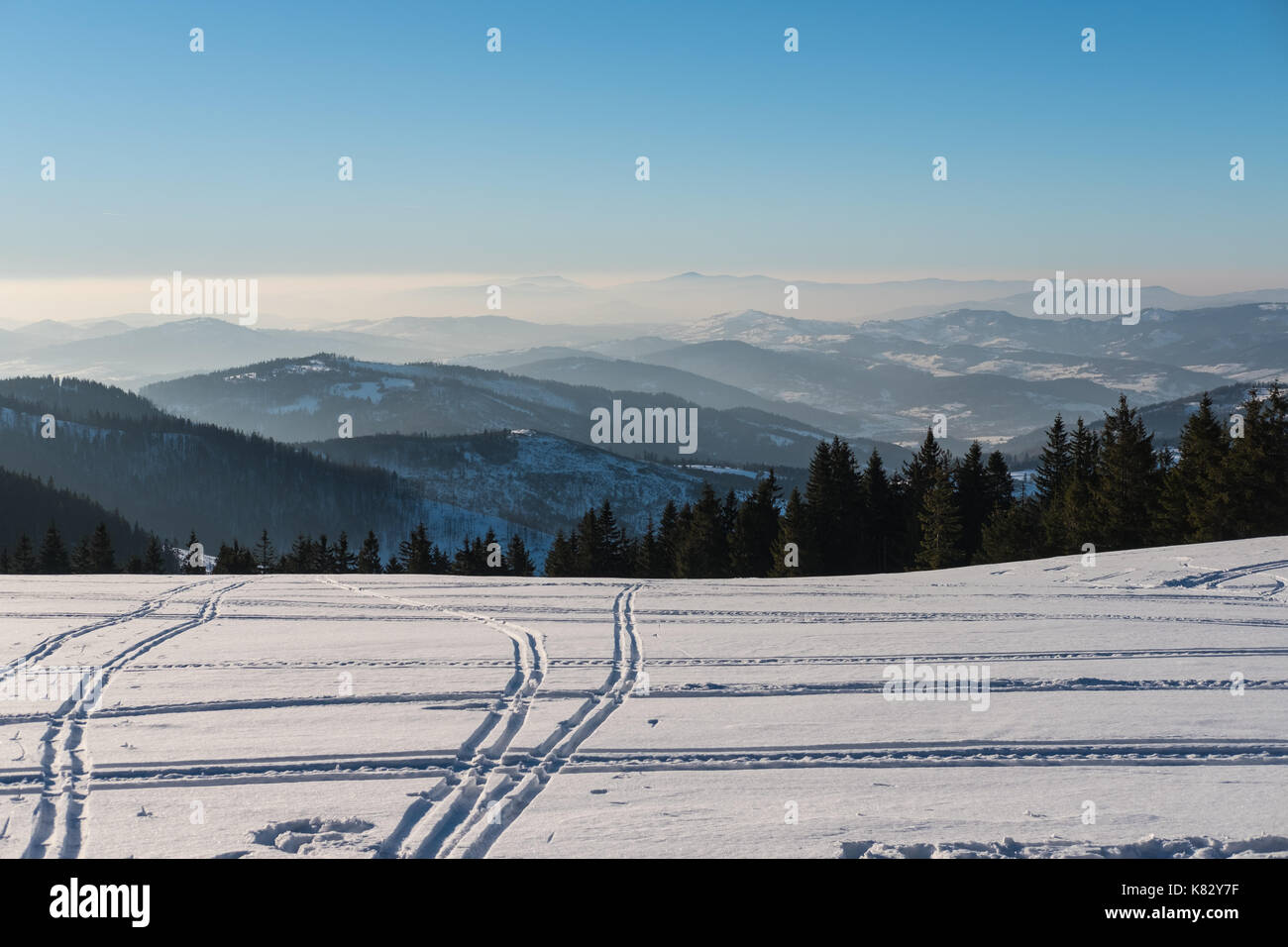 Ski Spuren in Beskiden, Polen Stockfoto