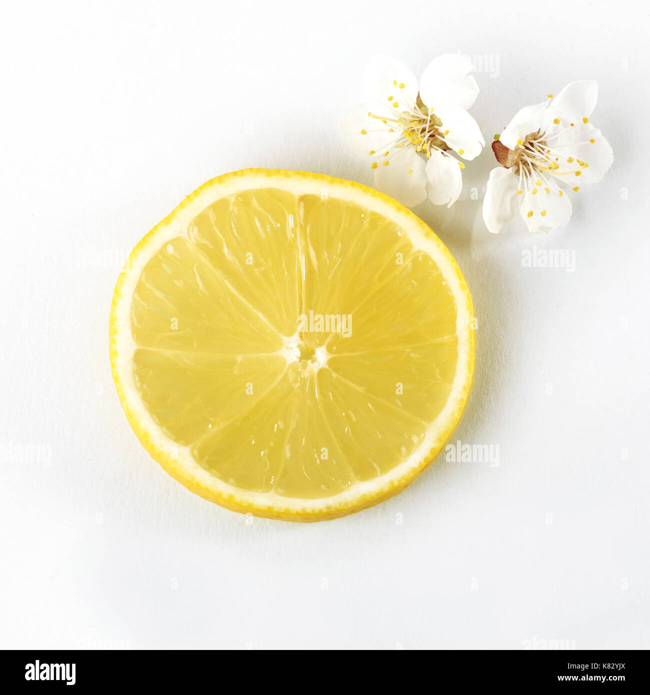 Slice reife Zitrone Zitrusfrüchte auf weißem Hintergrund Stockfoto