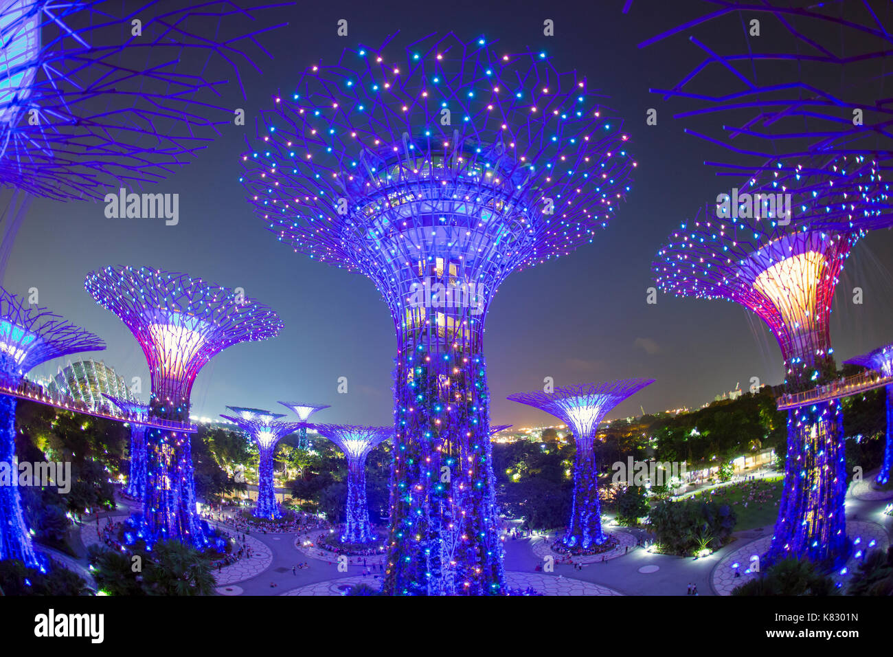 Supertrees an Gärten durch die Bucht, bei Nacht beleuchtet, Singapur, Südostasien Stockfoto