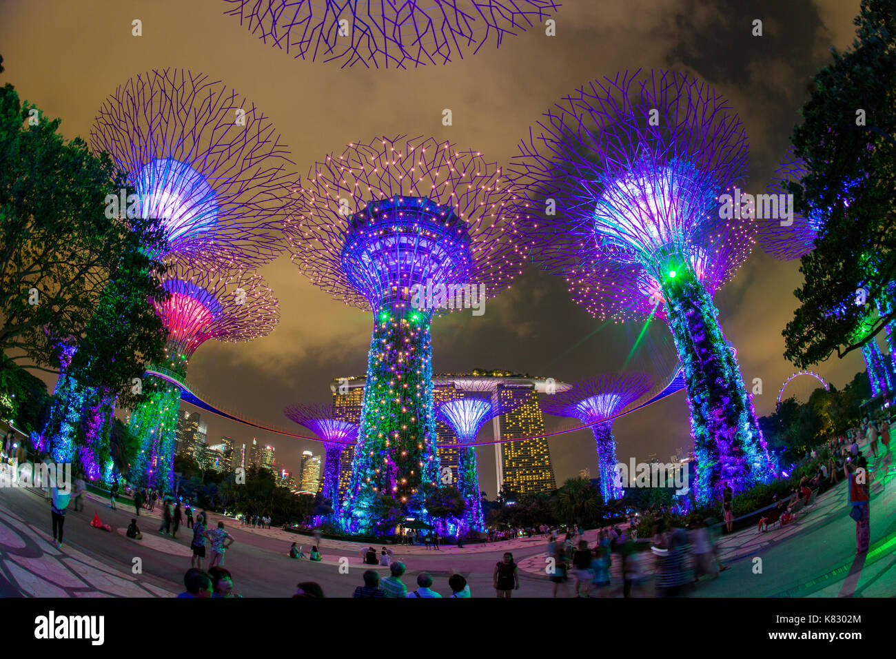 Supertrees an Gärten durch die Bucht, bei Nacht beleuchtet, Singapur, Südostasien Stockfoto