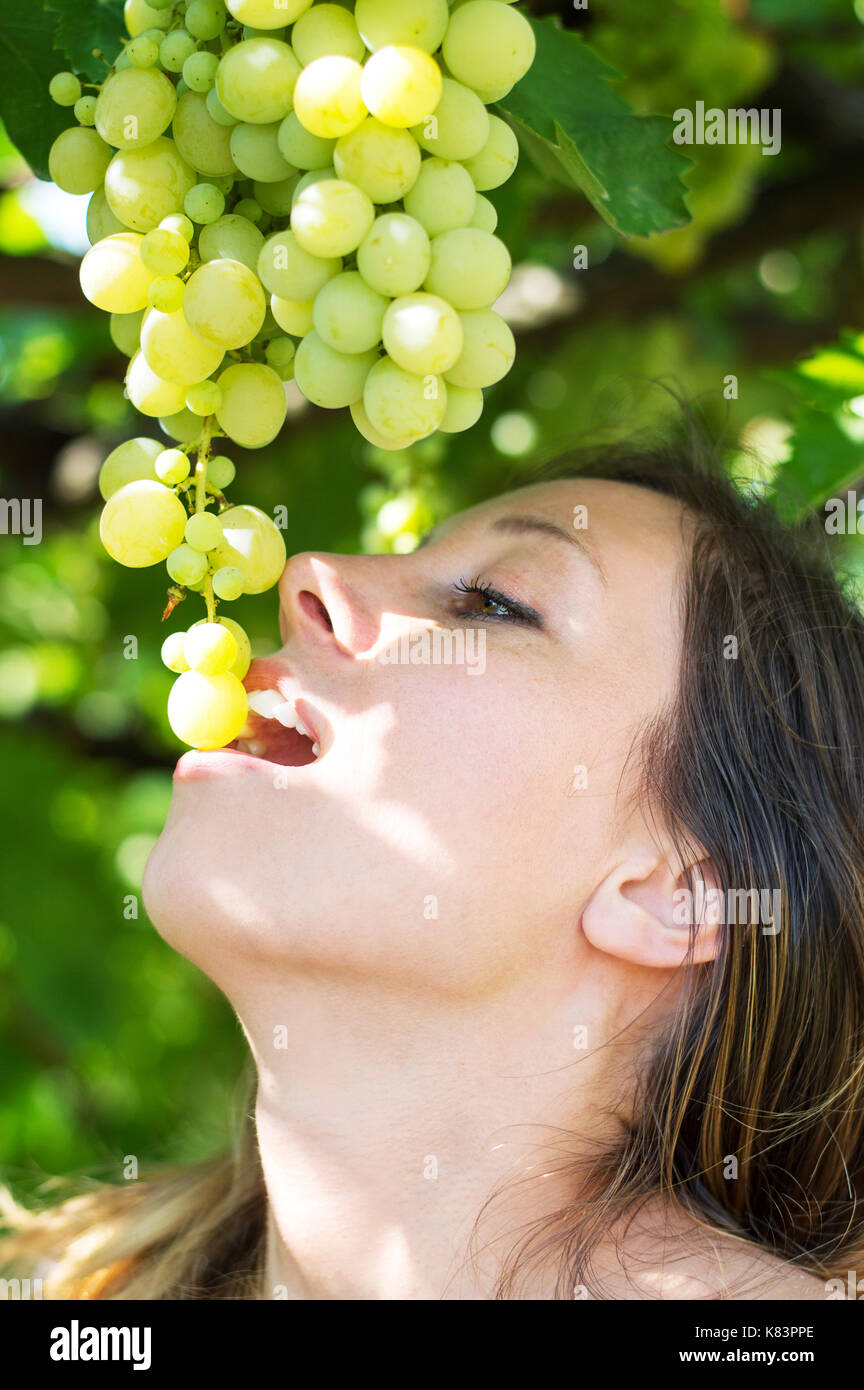 Mädchen mit frischen Trauben direkt vom Baum im Weinberg Stockfoto