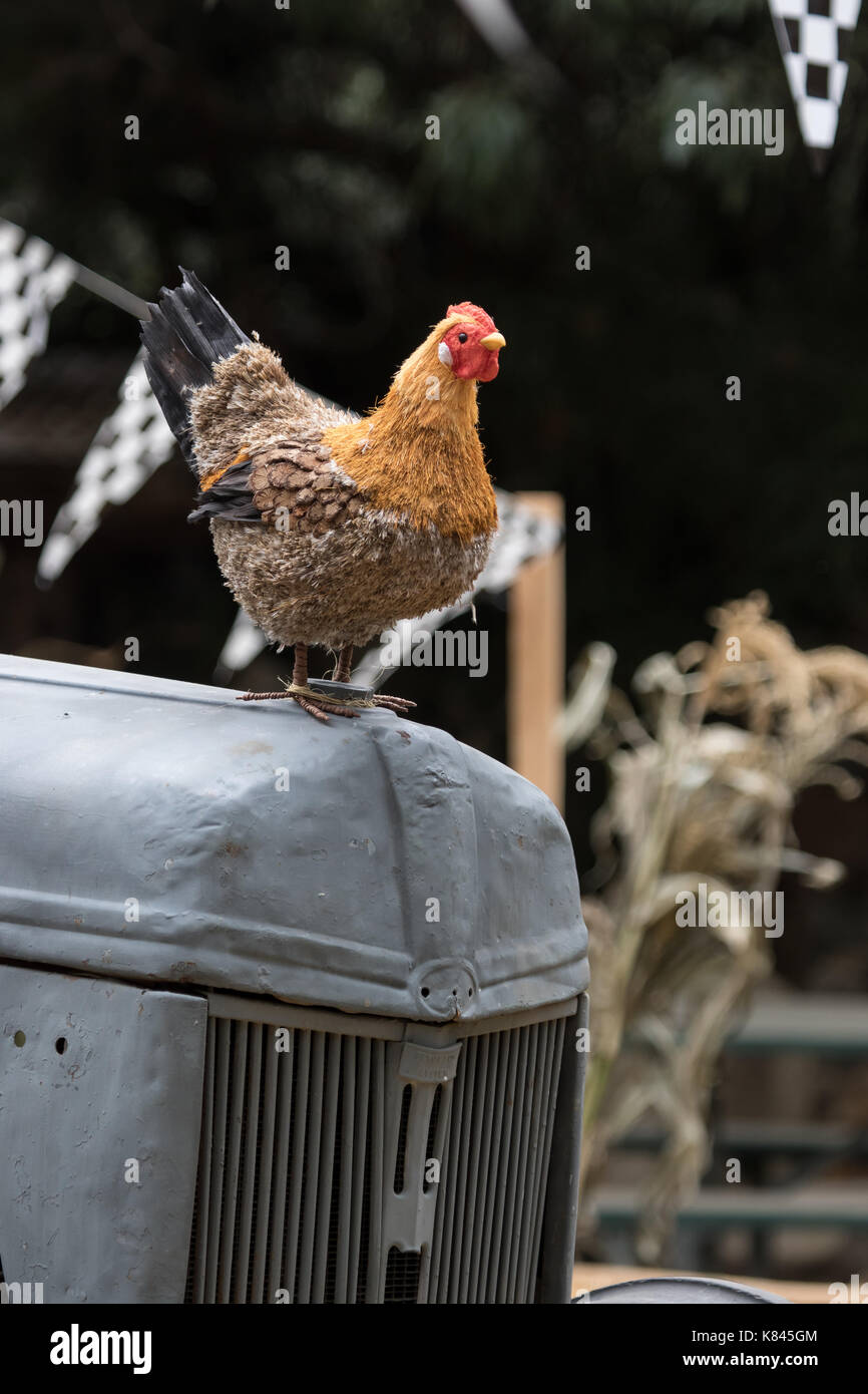 Ein Stroh Huhn sitzend auf einen alten Traktor in einer Farm yard Einstellung an einem Pumpkin Patch. Stockfoto