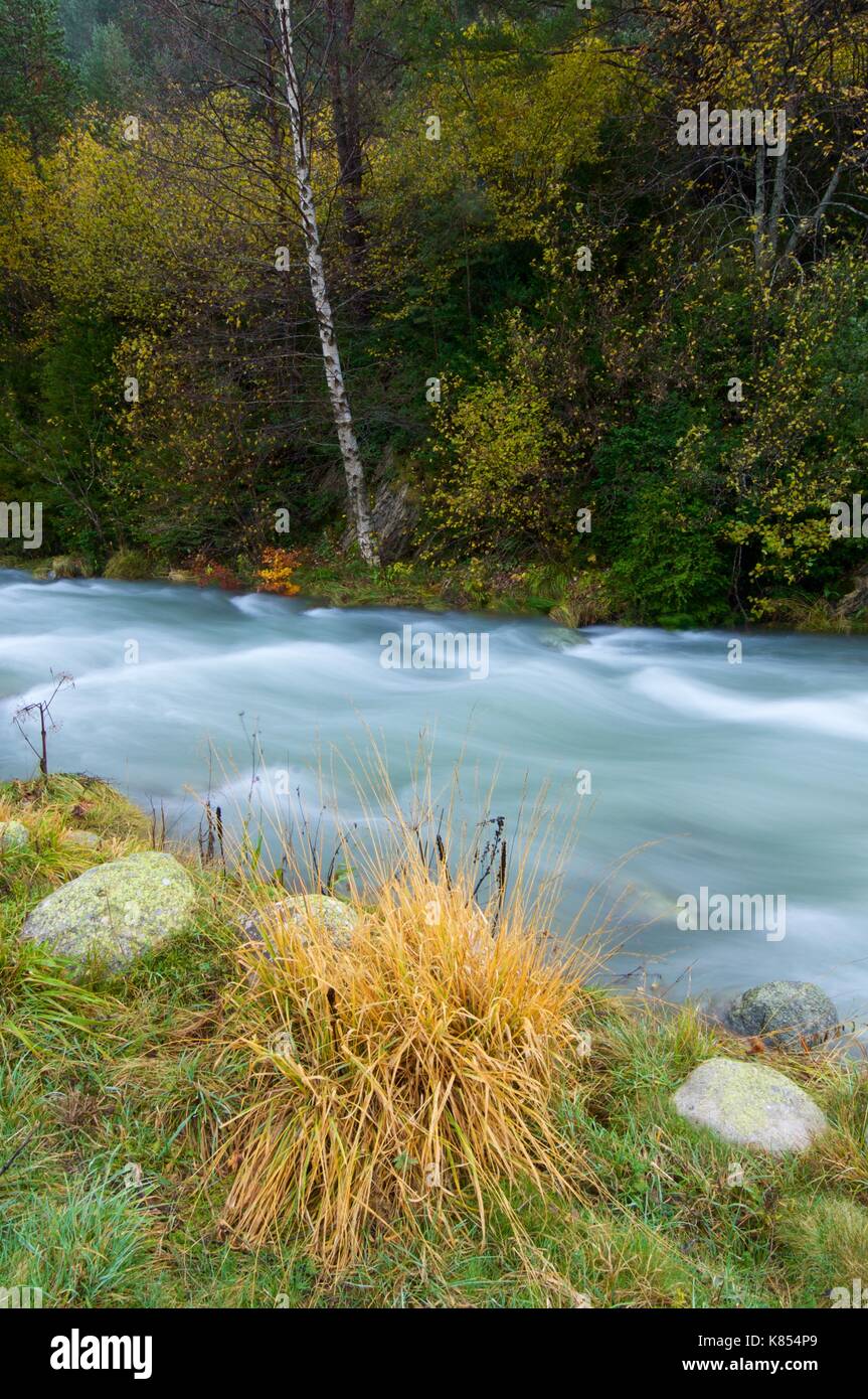 Aguas Escalante River in Sallent de Gallego, Tena Tal, Pyrenäen, Huesca, Aragón, Spanien. Stockfoto