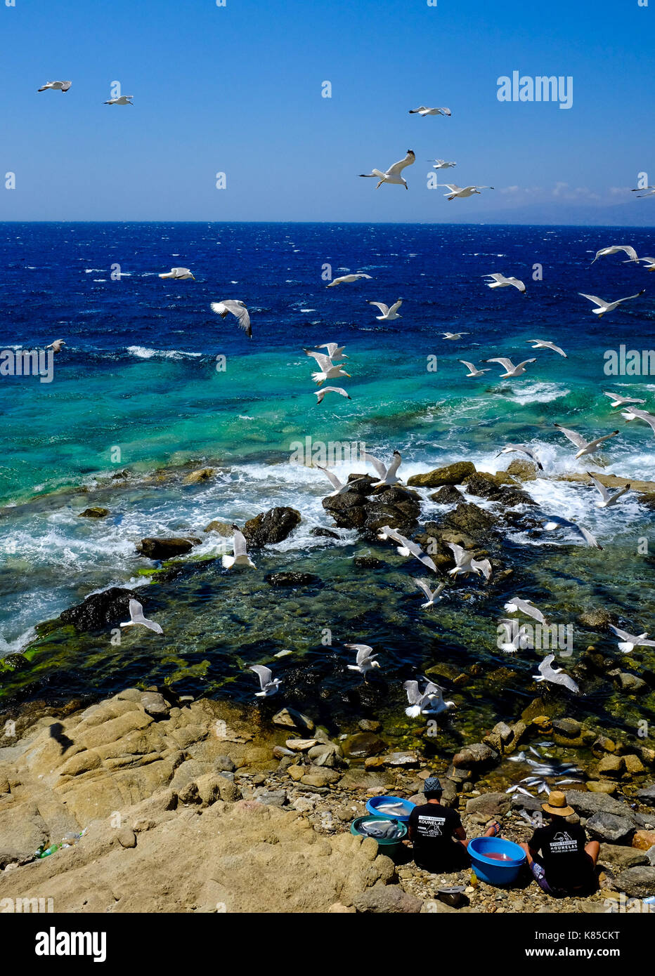 Allgemeine Blick auf die Waterfront, Gebäuden und Menschen angeln in Mykonos, Griechenland im Juli 2016. Auch Möwen warten auf einen Geschmack von Fisch. Stockfoto