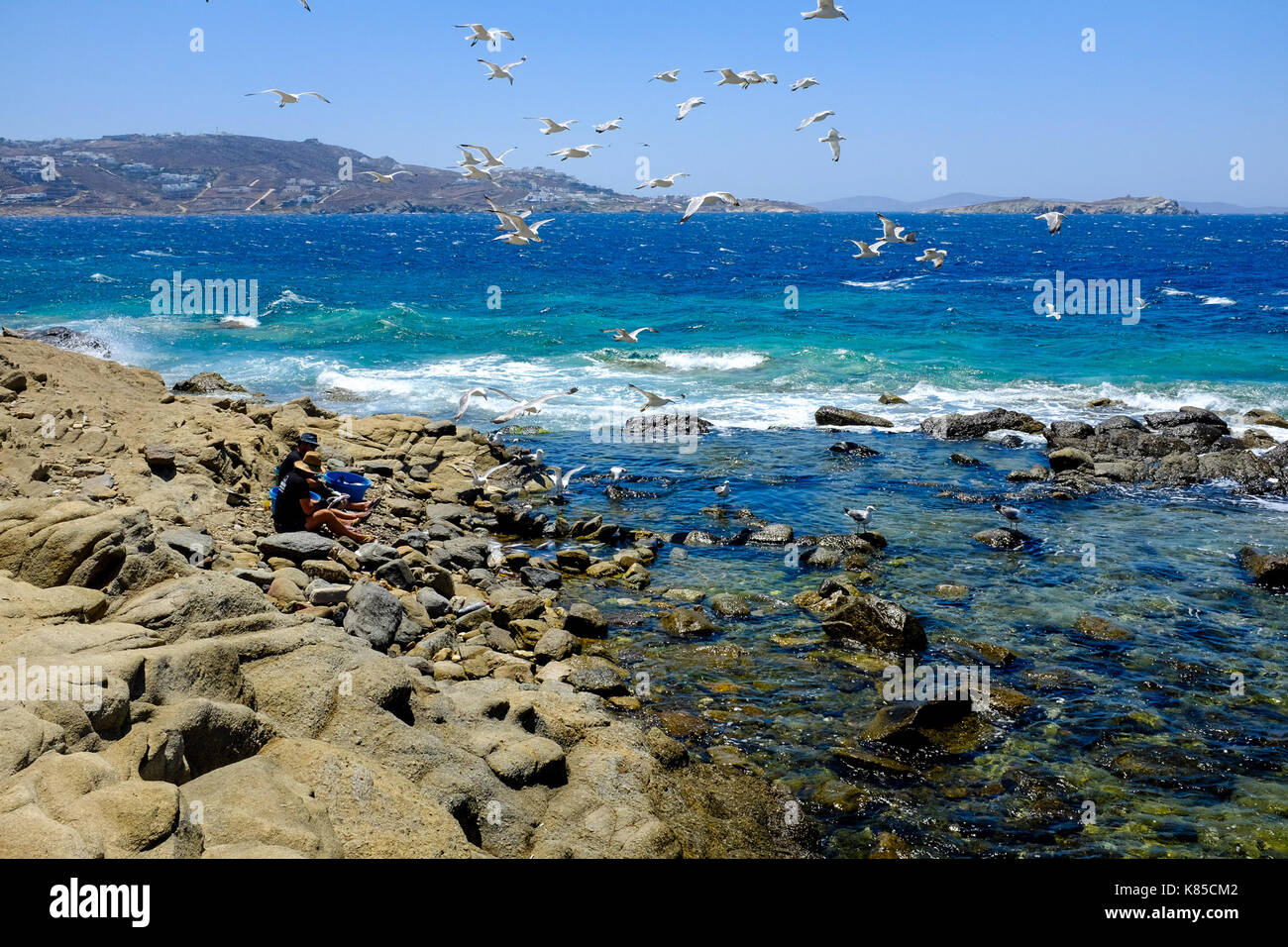 Allgemeine Blick auf die Waterfront, Gebäuden und Menschen angeln in Mykonos, Griechenland im Juli 2016. Auch Möwen warten auf einen Geschmack von Fisch. Stockfoto