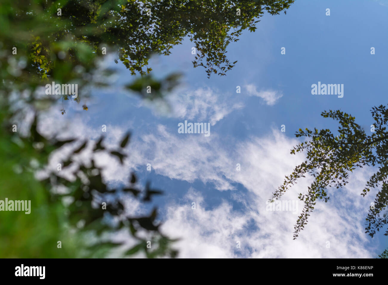 Bäume und der blaue Himmel im Wasser an einem Herbsttag in Großbritannien widerspiegeln. Stockfoto
