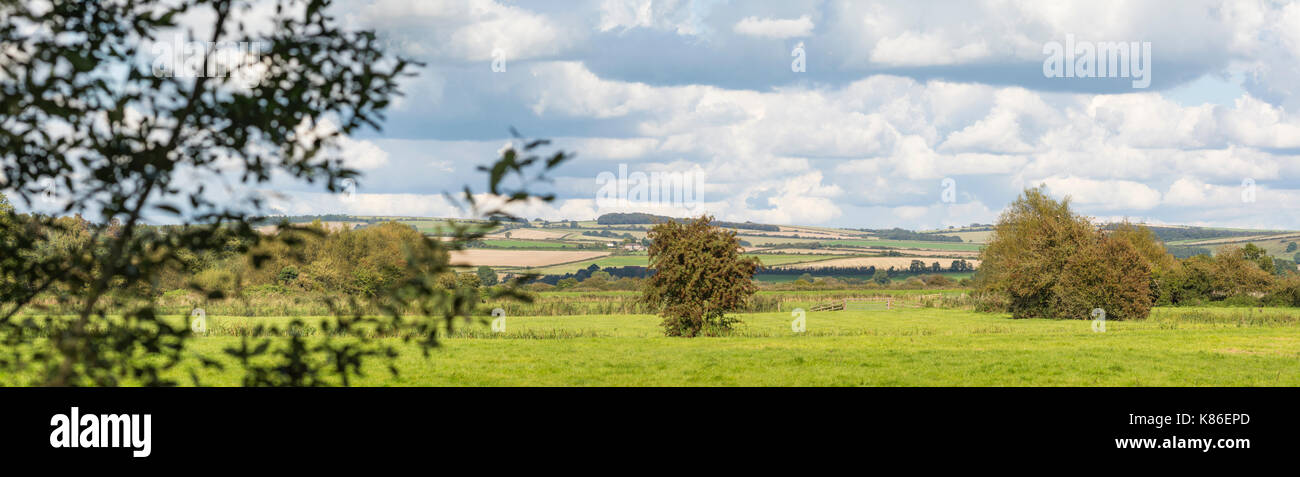 South Downs Landschaft Panoramablick mit bewölktem Himmel und Felder im Herbst von Arundel, West Sussex, England, UK. Stockfoto