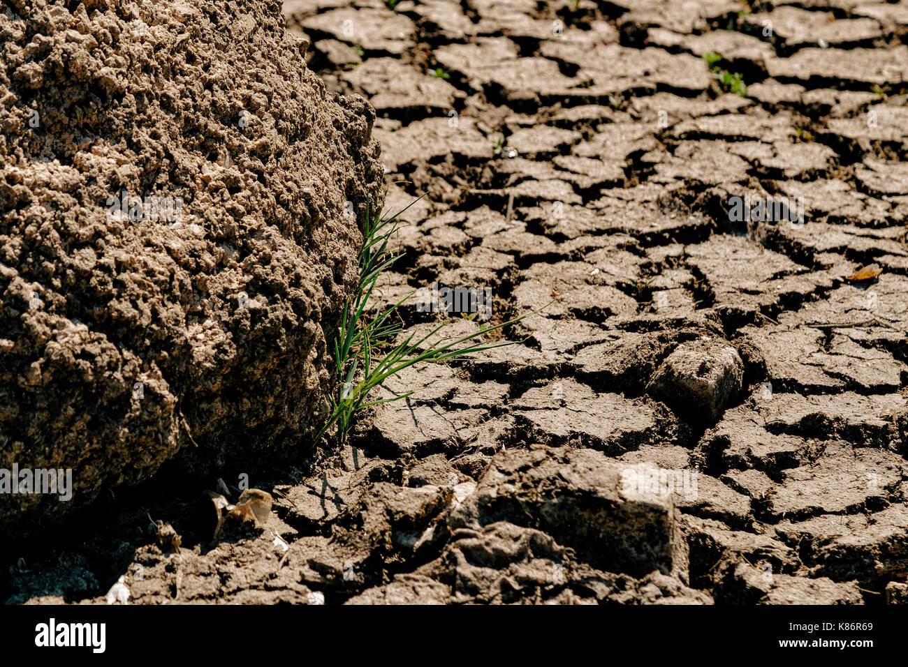 Risse in dürre Erde Stockfoto