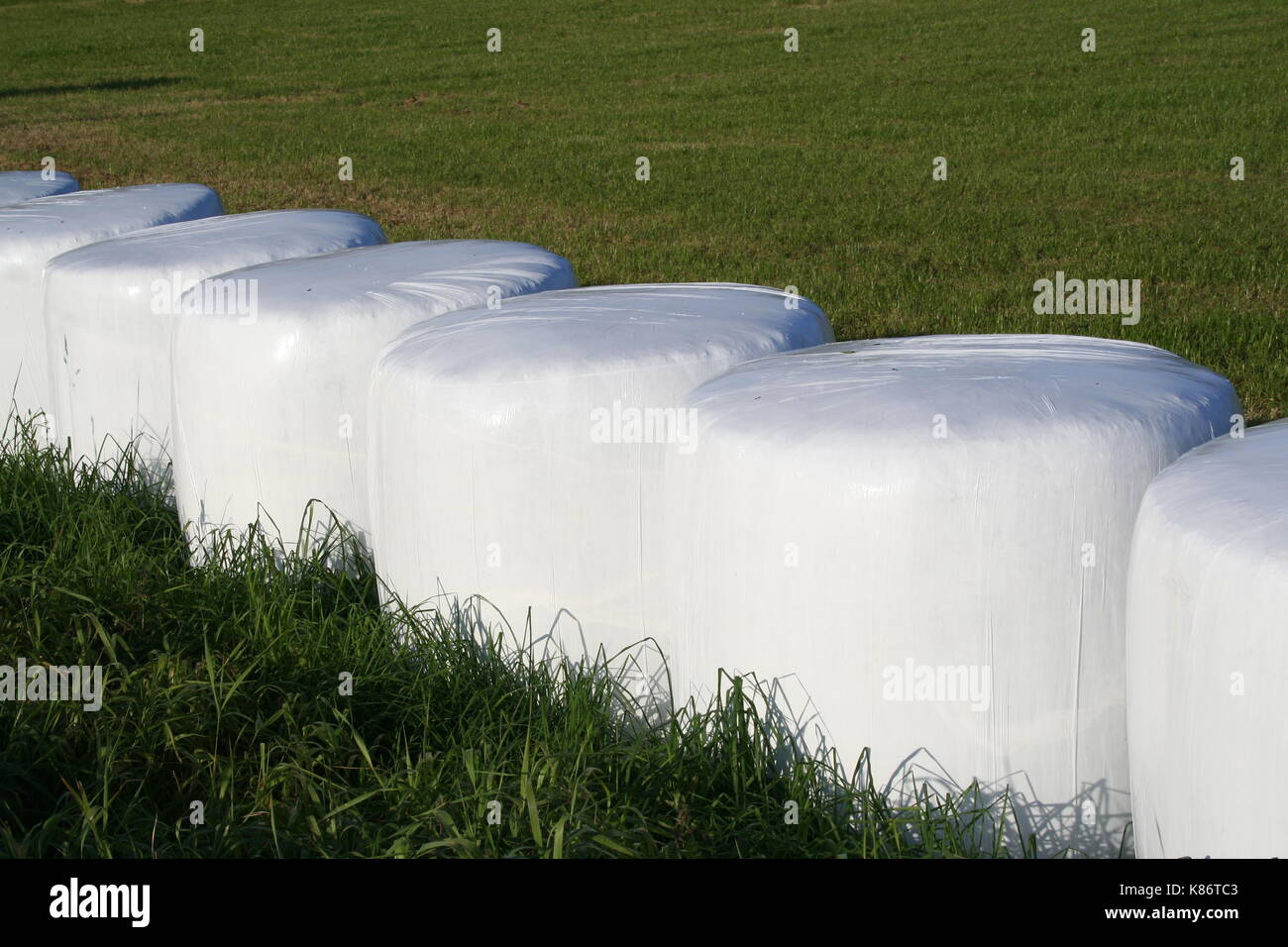 Silageballen Stockfoto