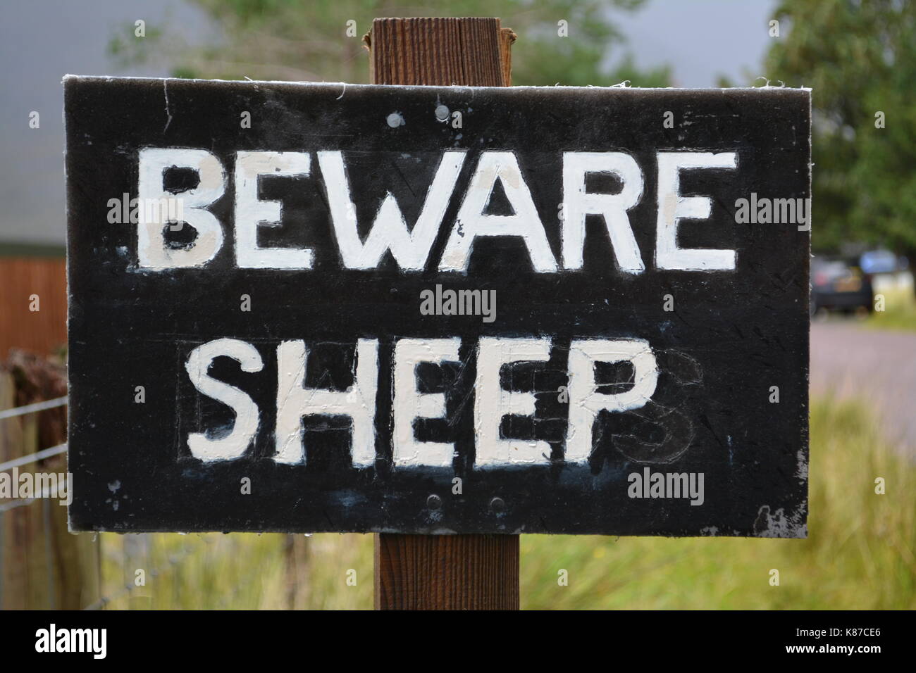 Hüten von Schafen von Hand gemalte Zeichen zu dunklen hölzernen Pfosten genagelt auf der Straße in der Nähe von annat in Highlands Schottland Großbritannien unscharf Hintergrund Stockfoto