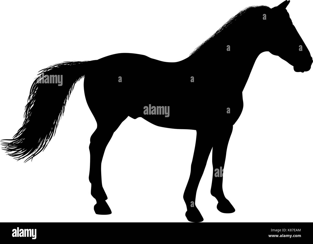 Silhouette eines Pferdes ansehen Stock Vektor