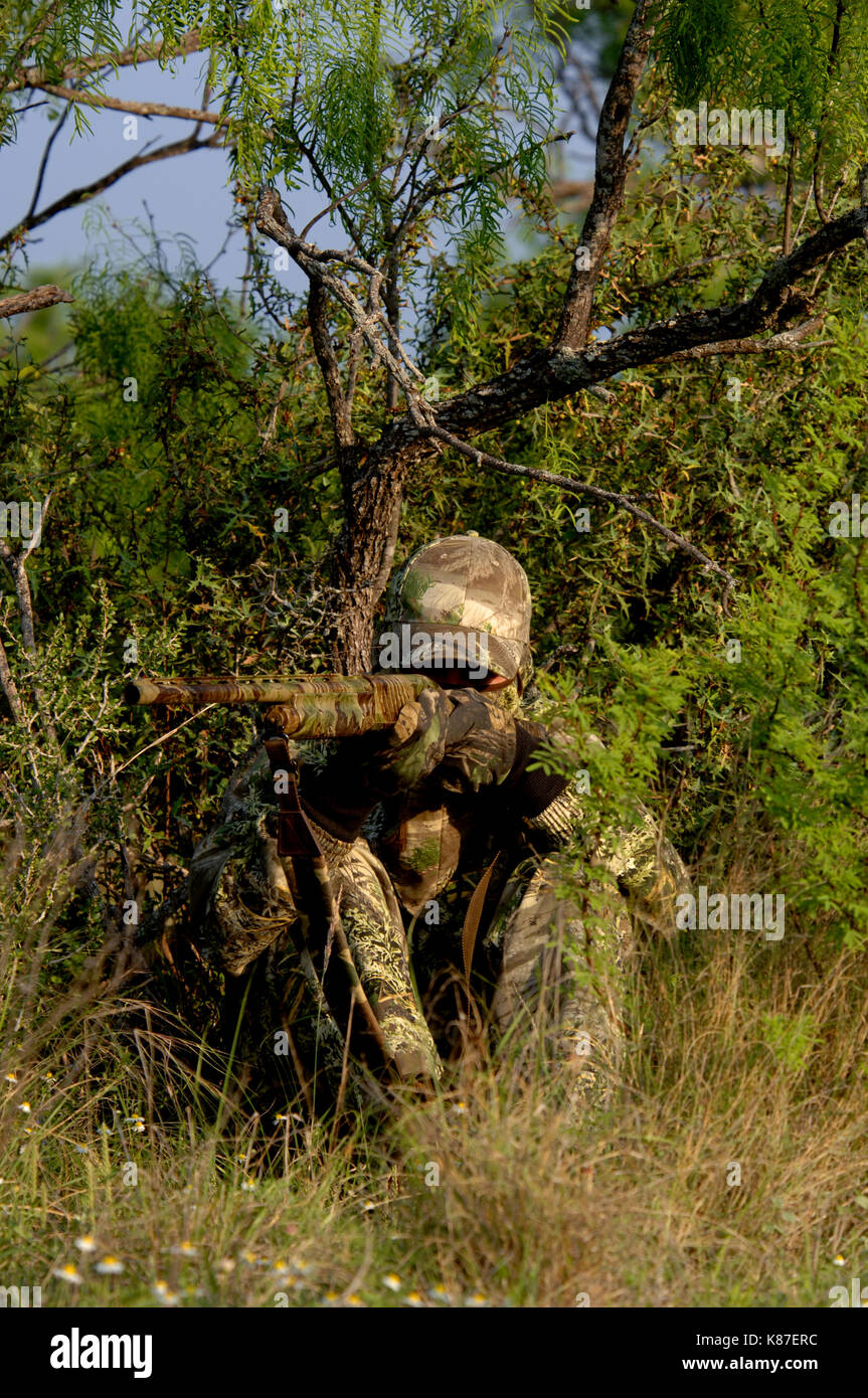 Ein Jäger in der Tarnung soll seine Schrotflinte während Frühling Türkei Jagd Stockfoto