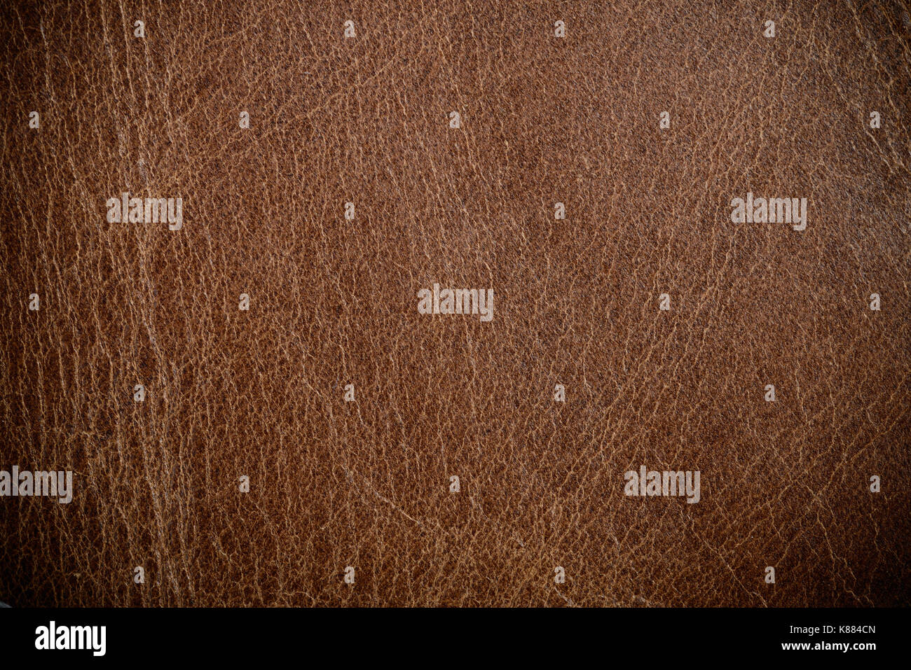 Braunes Leder Textur oder Hintergrund für Design Stockfoto