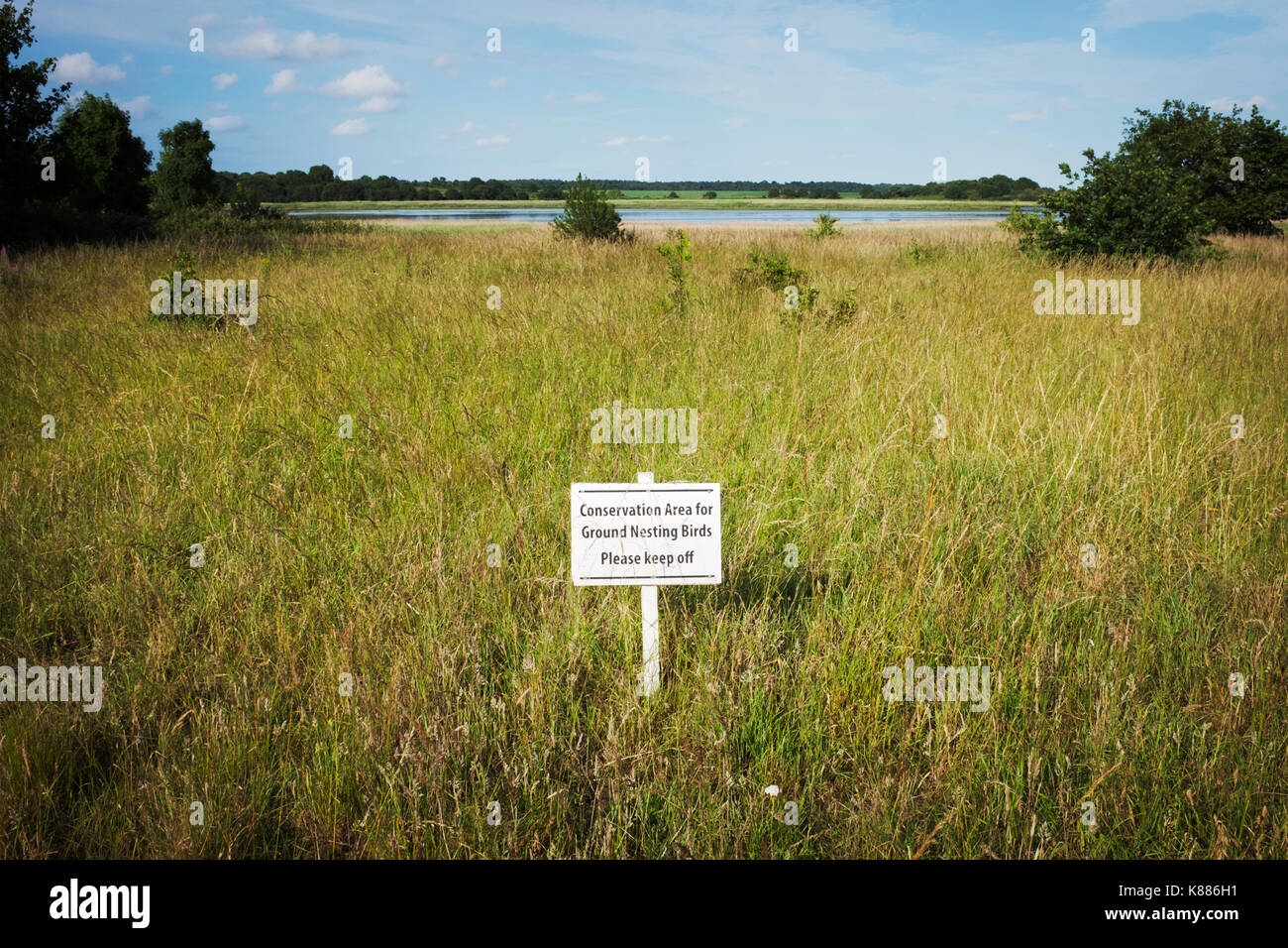 Weiße 'Halten'-Zeichen auf einer Wiese mit Fluss und Bäume in der Ferne. Stockfoto